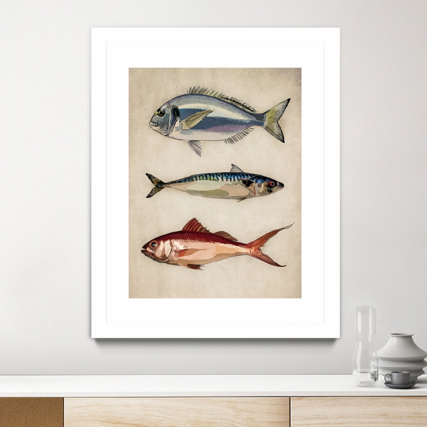 Trio of Ocean Life by Emel Tunaboylu on GIANT ART - animals vintage fish illustration