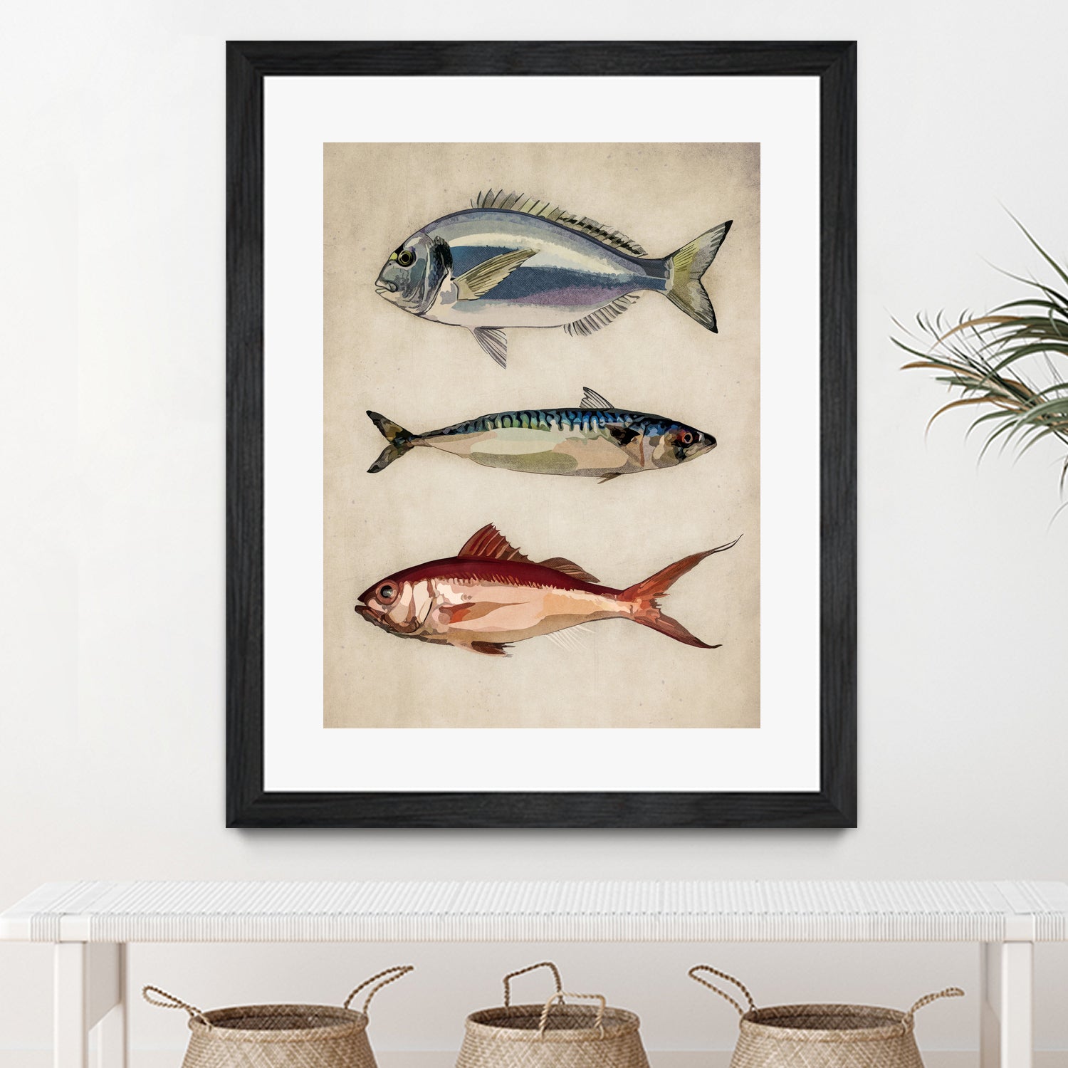Trio of Ocean Life by Emel Tunaboylu on GIANT ART - animals vintage fish illustration