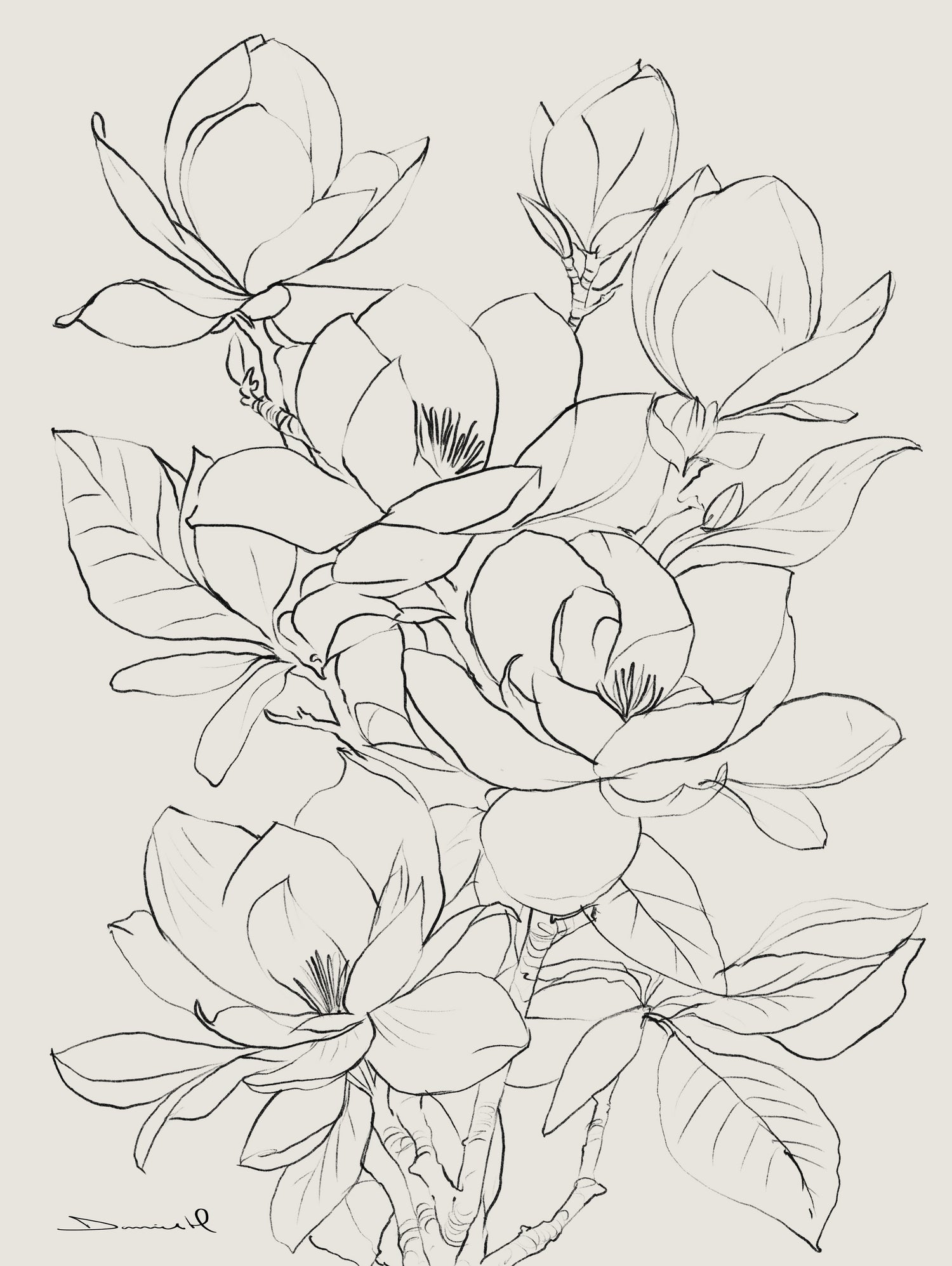 Magnolia Tree by Dan Hobday on GIANT ART - flower flowers and plants flower