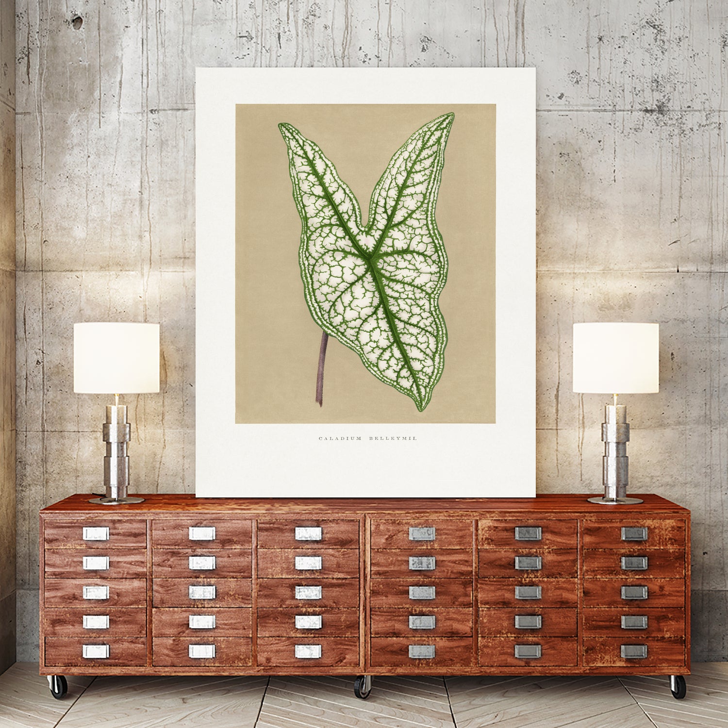 Green Caladium Belleymii Leaf Illustration by Les Plantes a on GIANT ART - flowers and plants vintage botanical