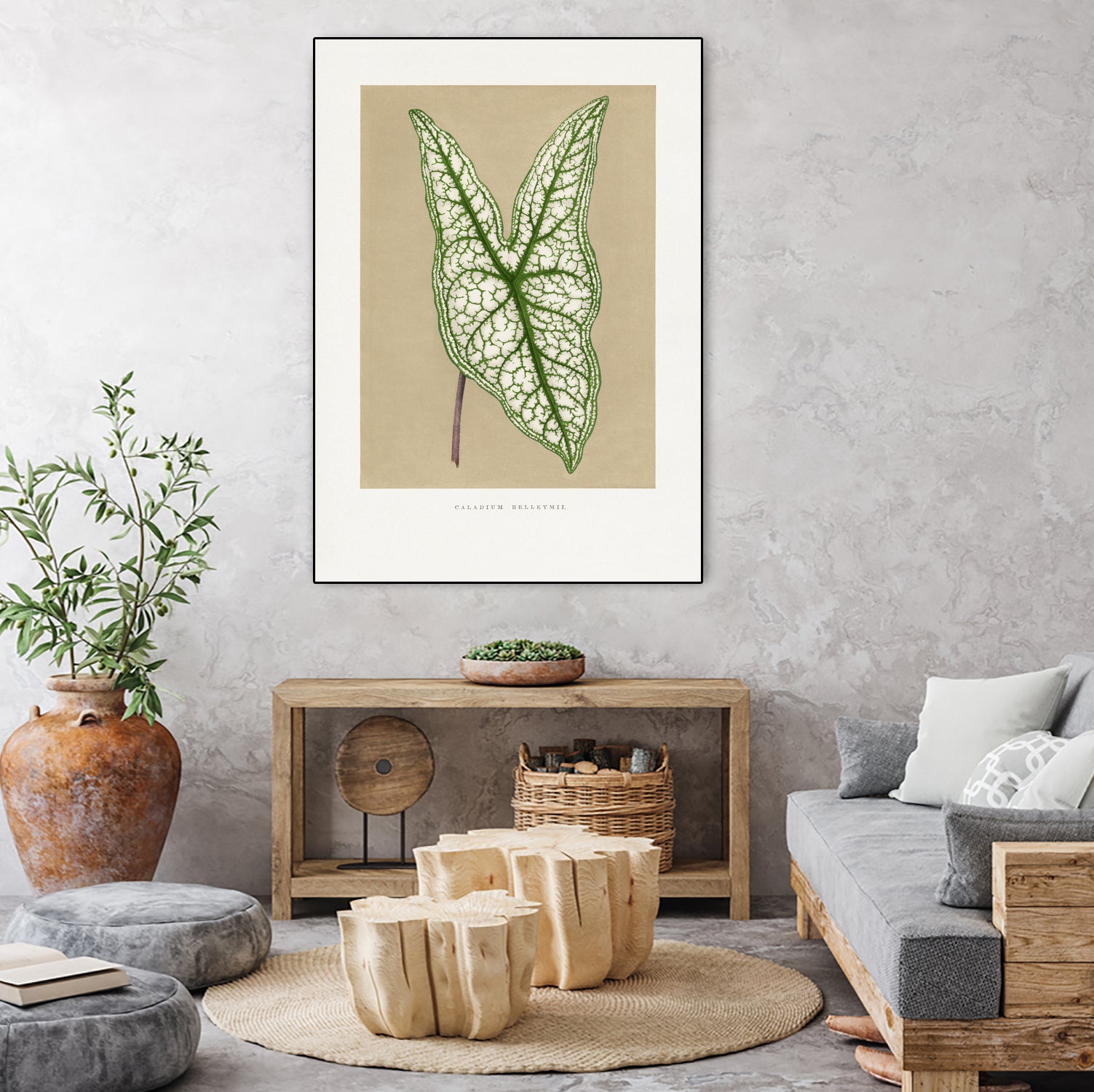 Green Caladium Belleymii Leaf Illustration by Les Plantes a on GIANT ART - flowers and plants vintage botanical