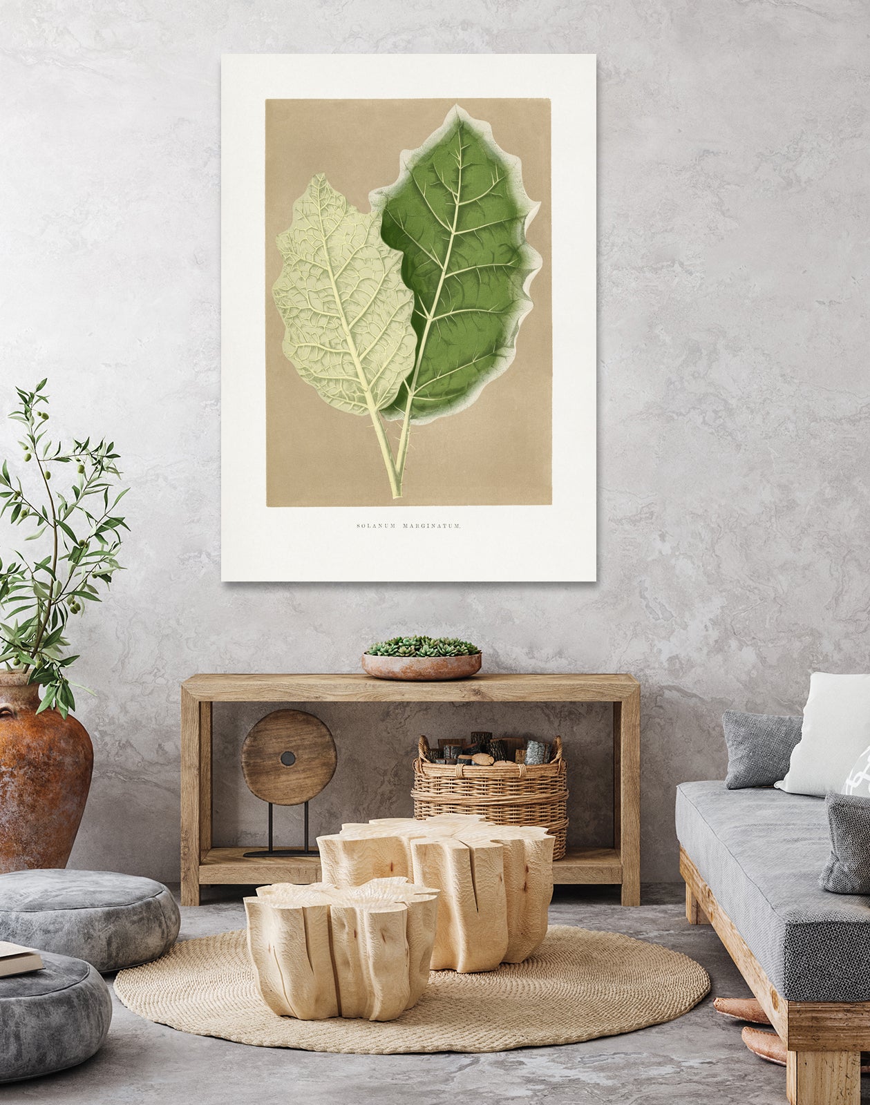 Green Solanum Marginatum Leaf Illustration by Les Plantes a on GIANT ART - flowers and plants vintage botanical