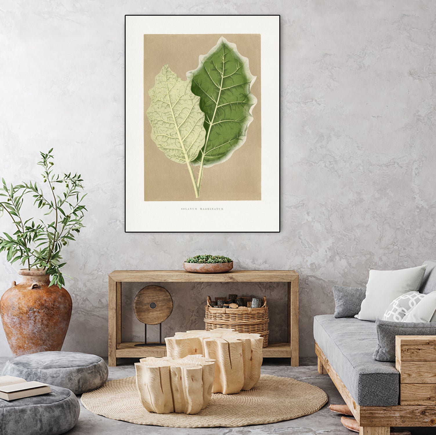 Green Solanum Marginatum Leaf Illustration by Les Plantes a on GIANT ART - flowers and plants vintage botanical