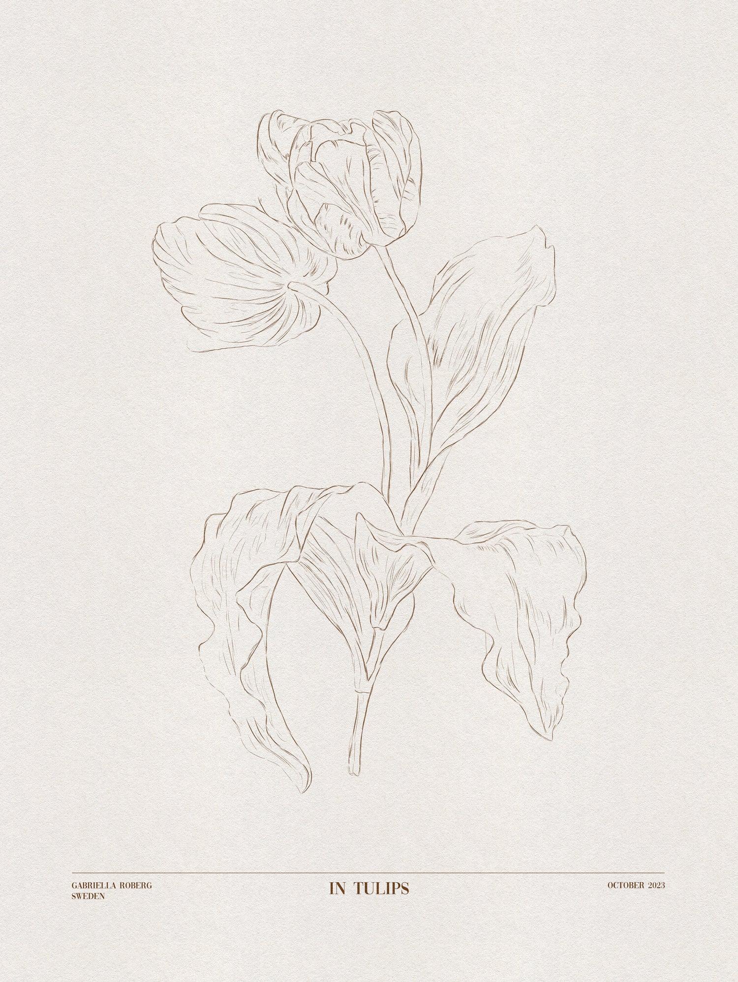 In Tulips (brown) by Gabriella Roberg on GIANT ART - line art gabriella roberg
