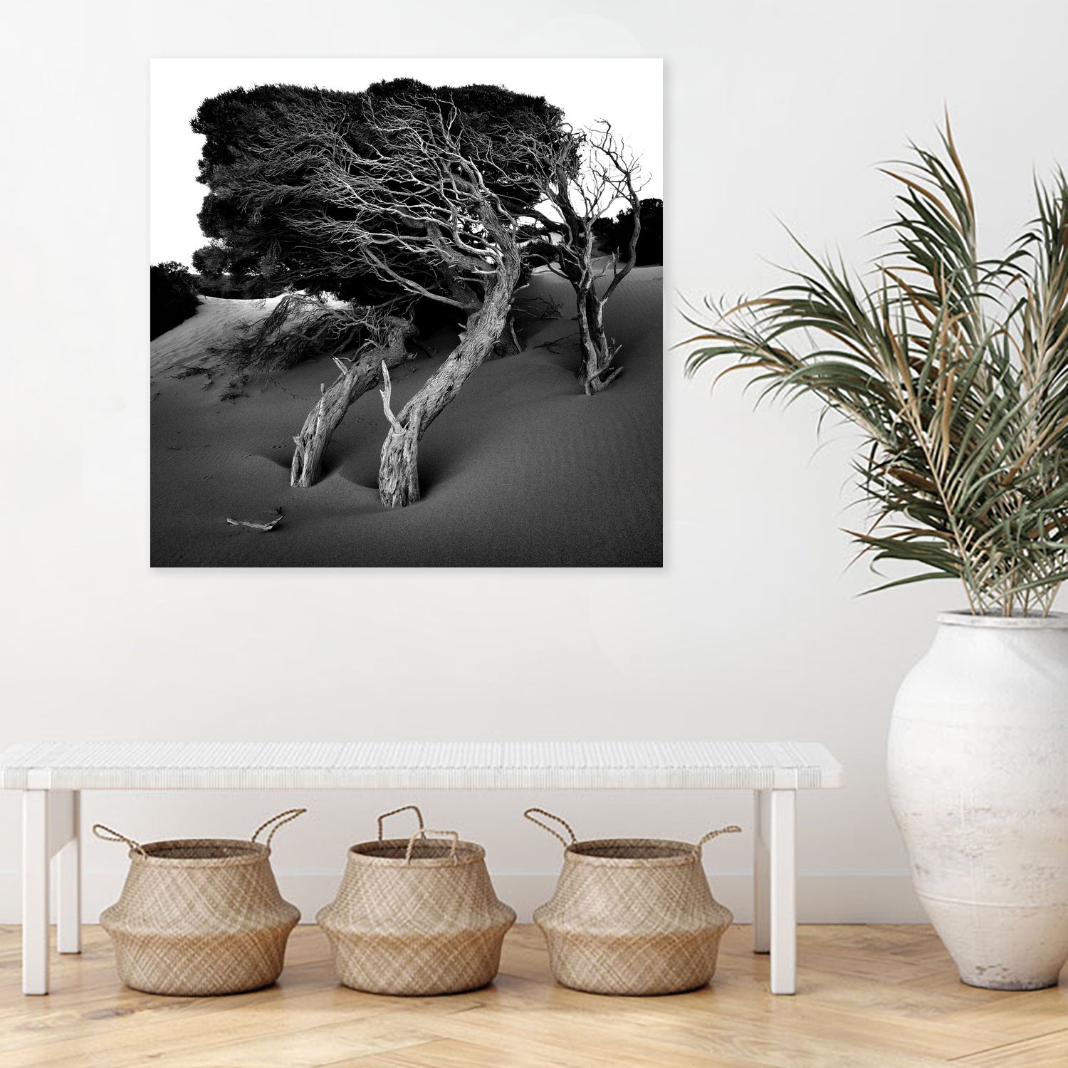 Windswept Tree by Injidup Western Australia on GIANT ART - black and white mark