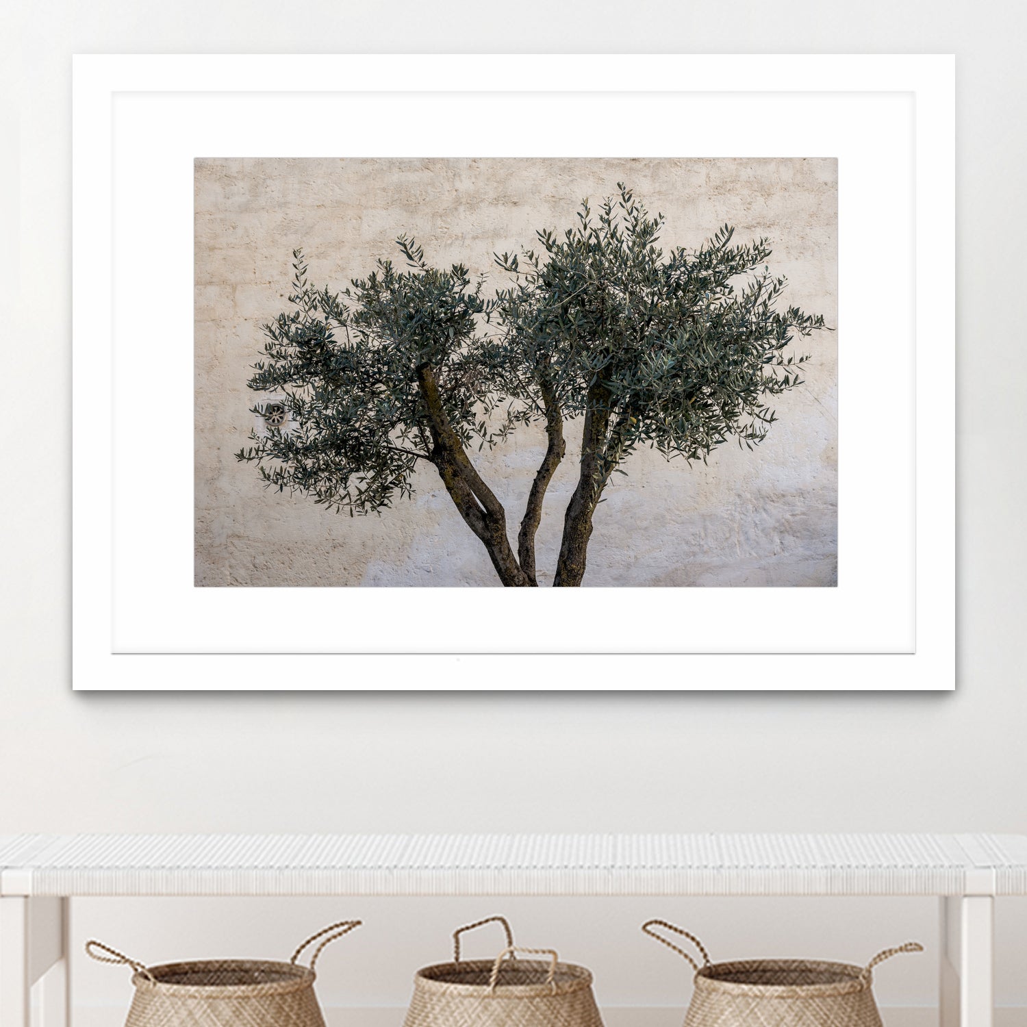 Olive Trees by Photolovers on GIANT ART - landscape plant