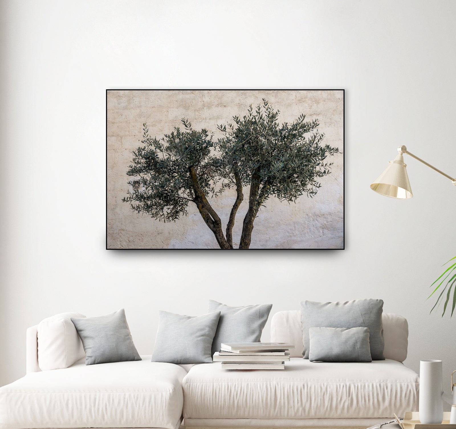 Olive Trees by Photolovers on GIANT ART - landscape plant