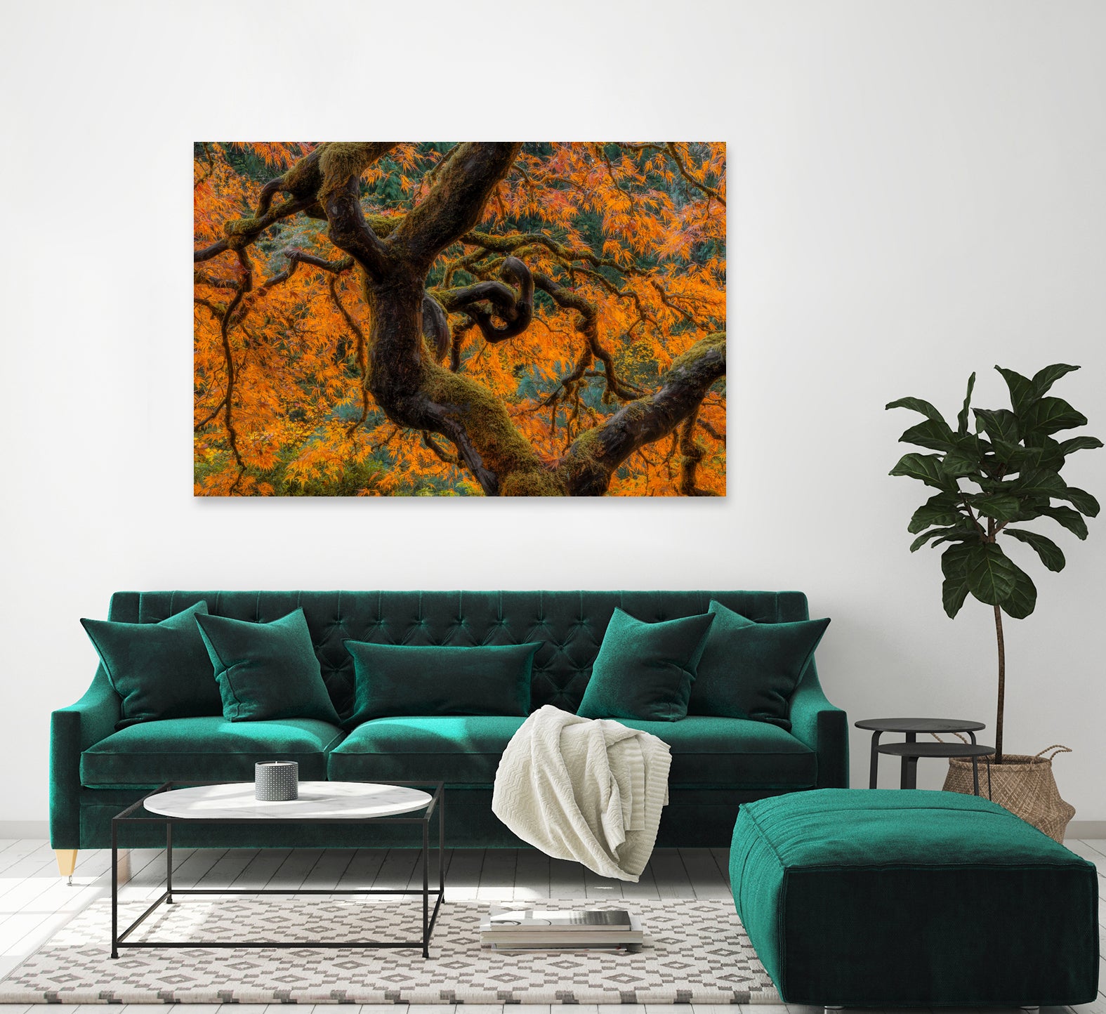 Golden Ratio by Junhao Wang on GIANT ART - orange botanical orange