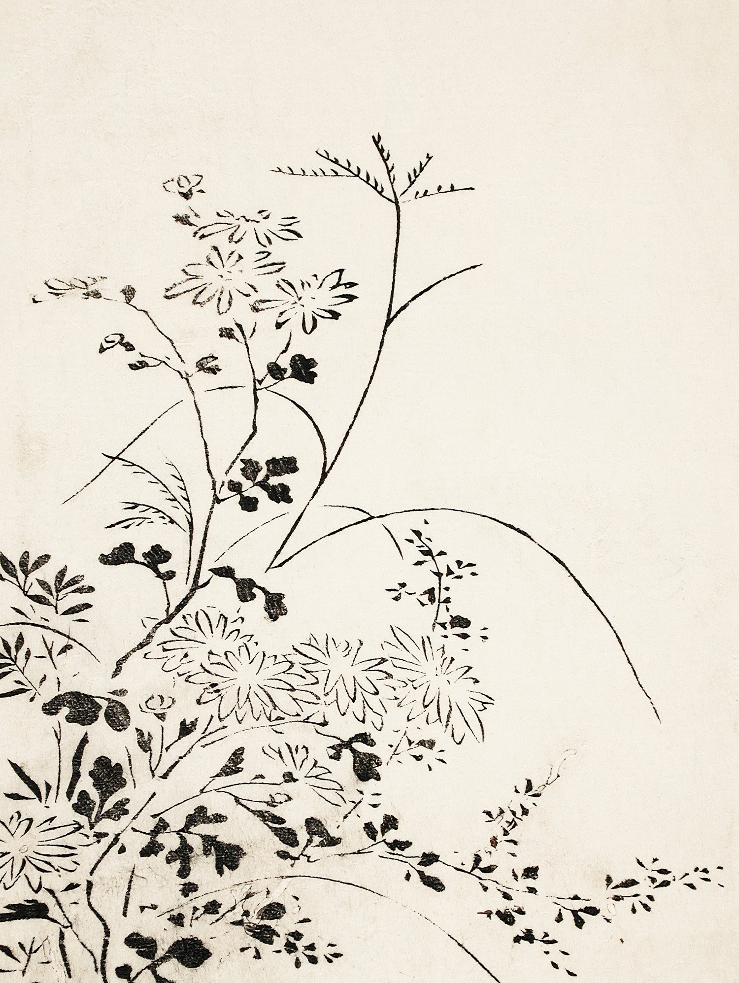 Autumn Flowers and Grasses (1762) by Miyazaki Yuzen on GIANT ART - illustration drawing