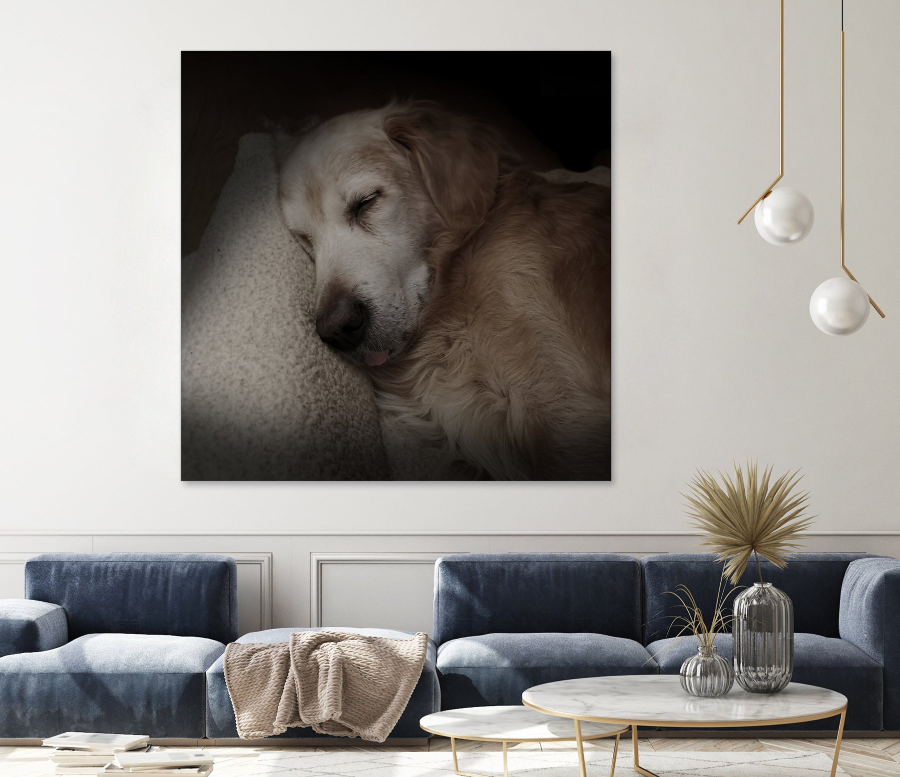 Sleeping Golden by Andreas Magnusson on GIANT ART - animals golden