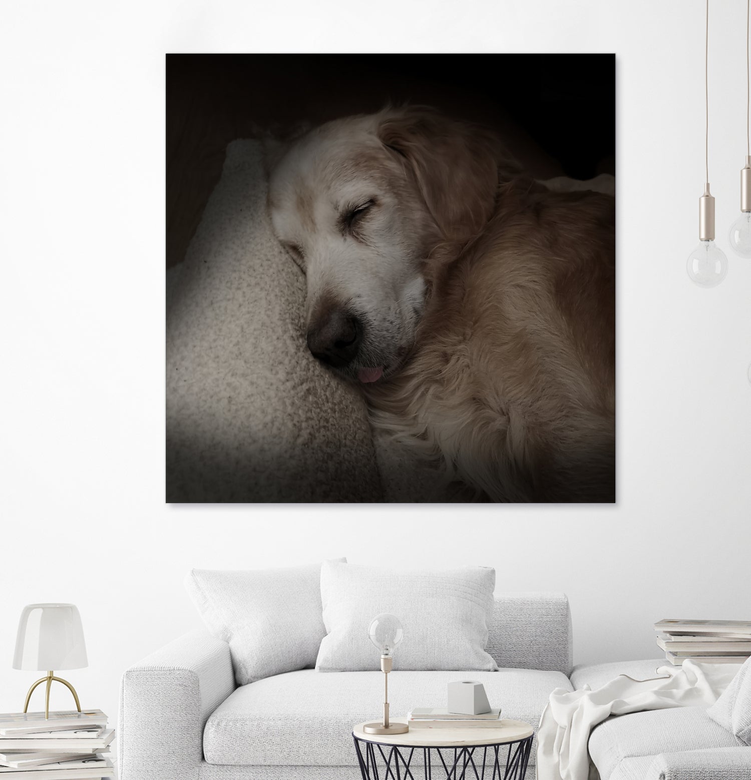 Sleeping Golden by Andreas Magnusson on GIANT ART - animals golden