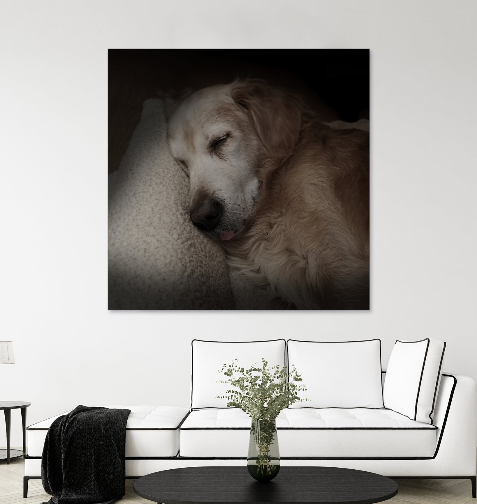 Sleeping Golden by Andreas Magnusson on GIANT ART - animals golden