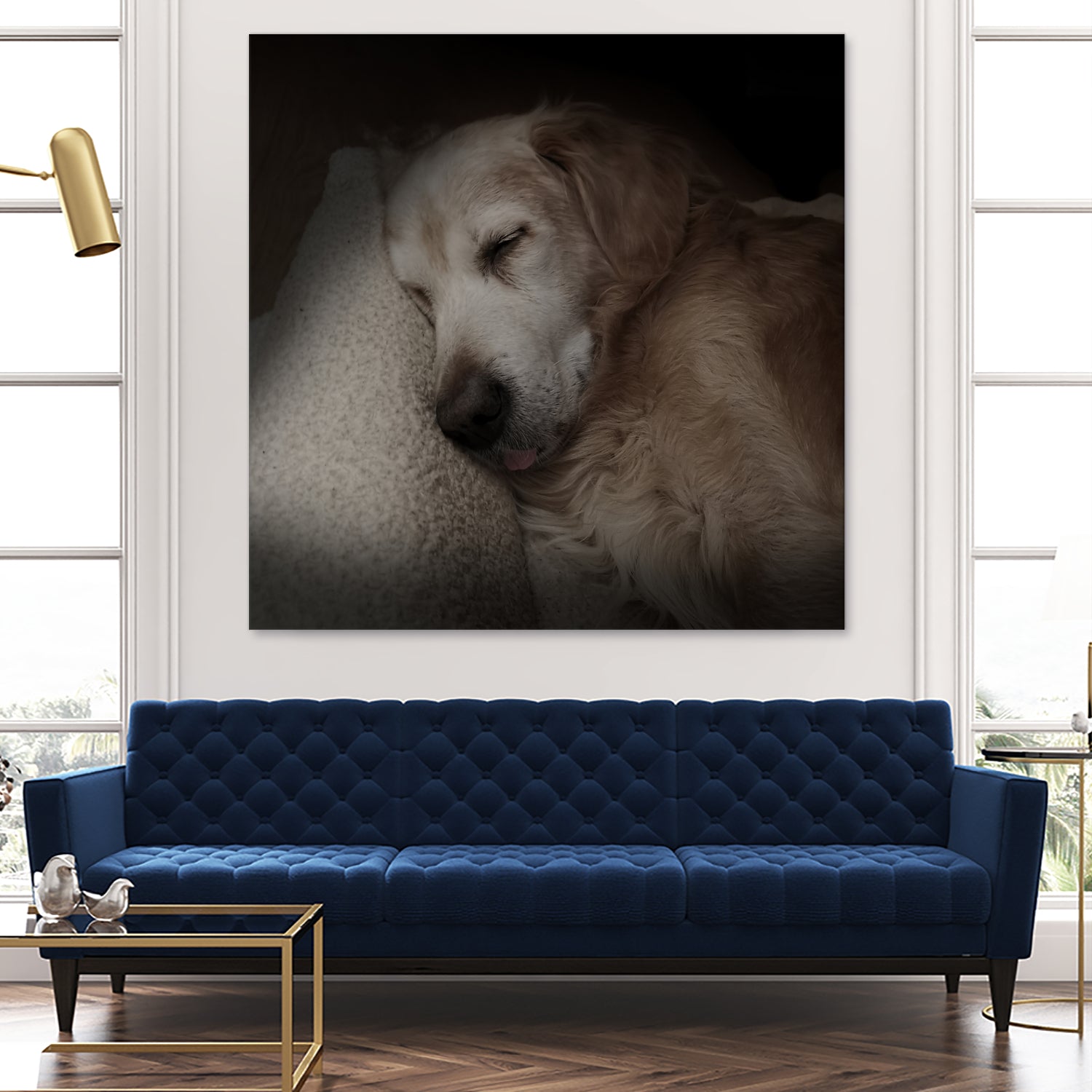 Sleeping Golden by Andreas Magnusson on GIANT ART - animals golden