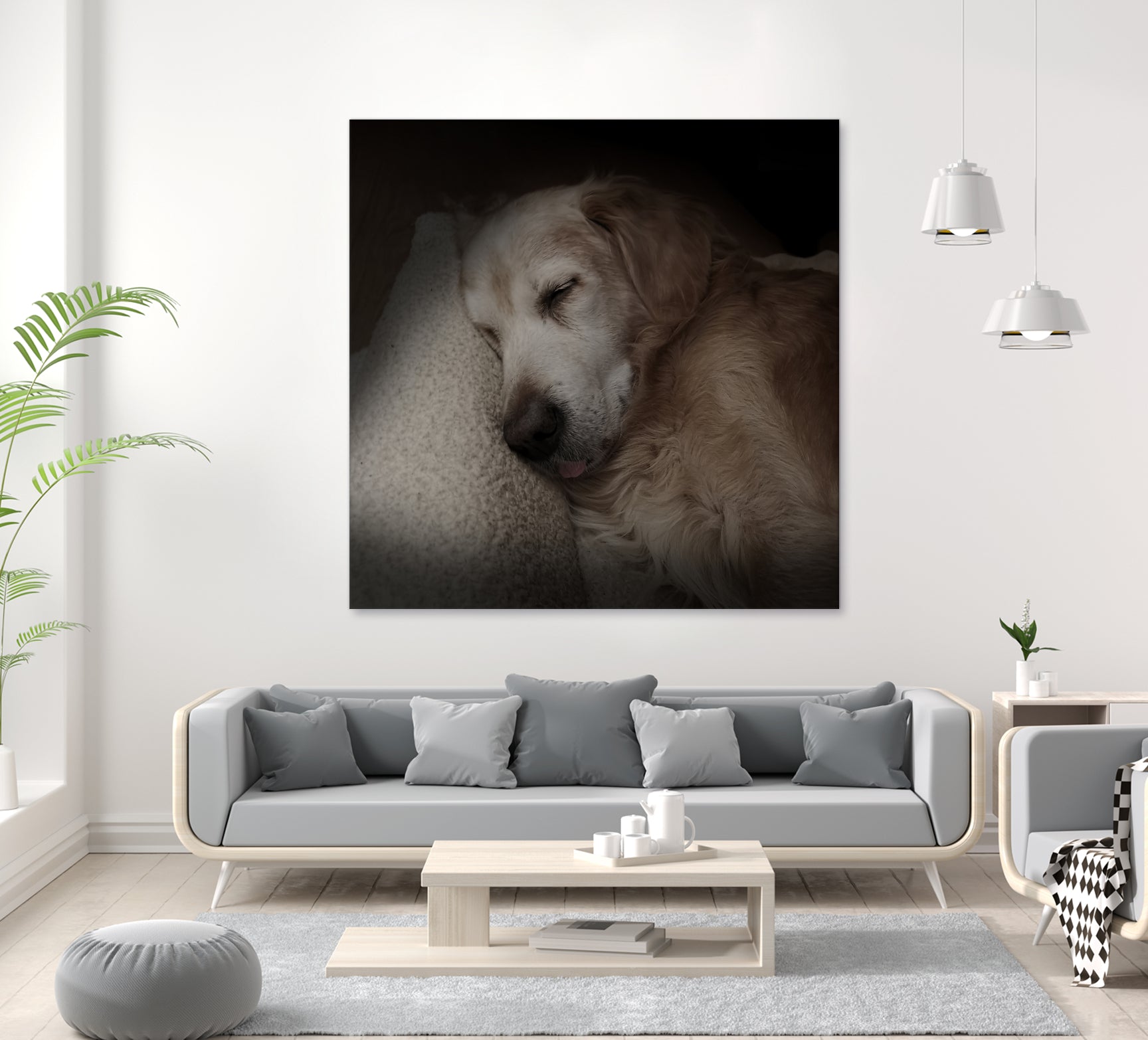 Sleeping Golden by Andreas Magnusson on GIANT ART - animals golden