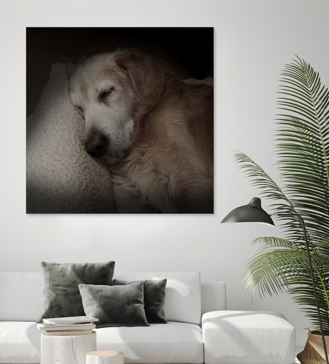 Sleeping Golden by Andreas Magnusson on GIANT ART - animals golden