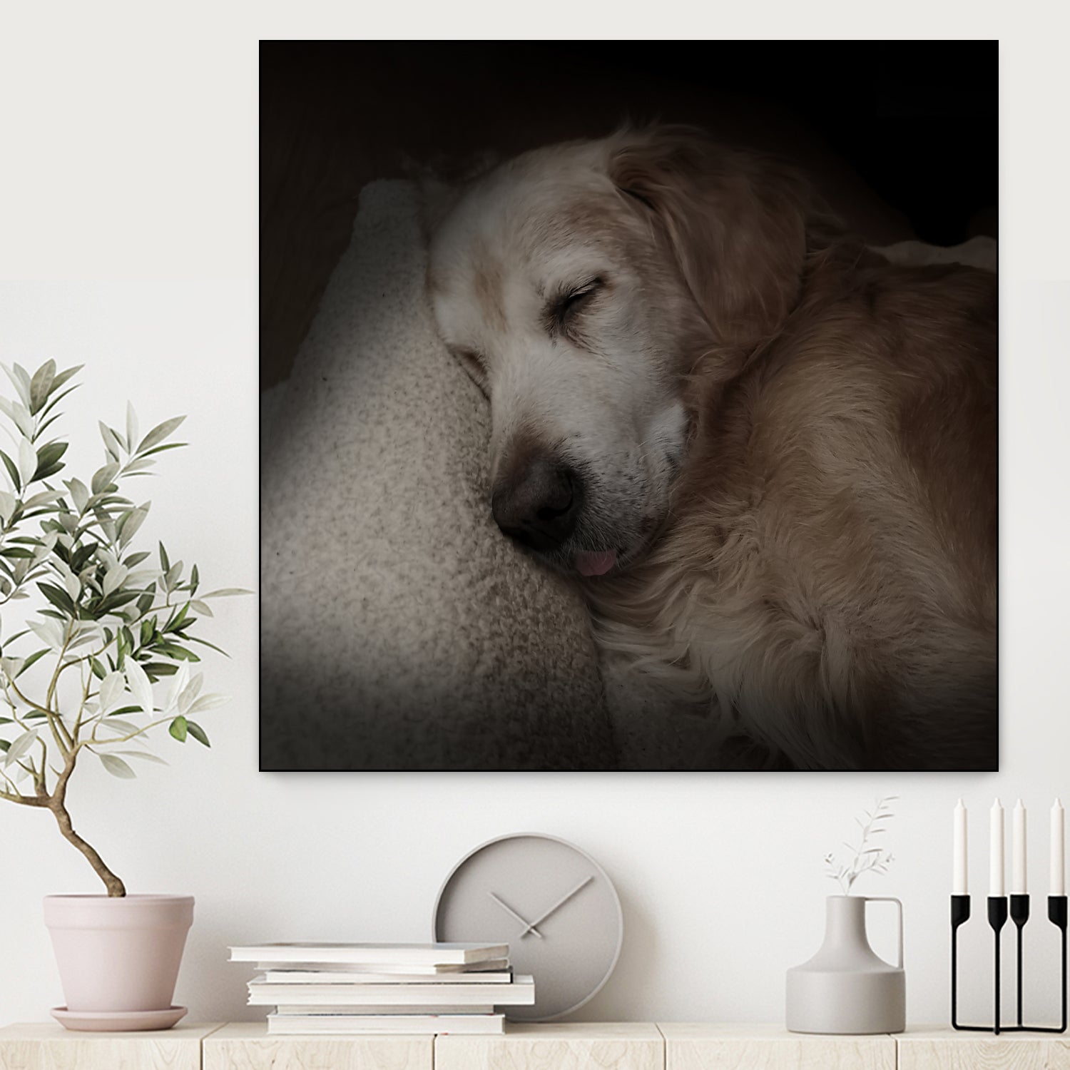 Sleeping Golden by Andreas Magnusson on GIANT ART - animals golden
