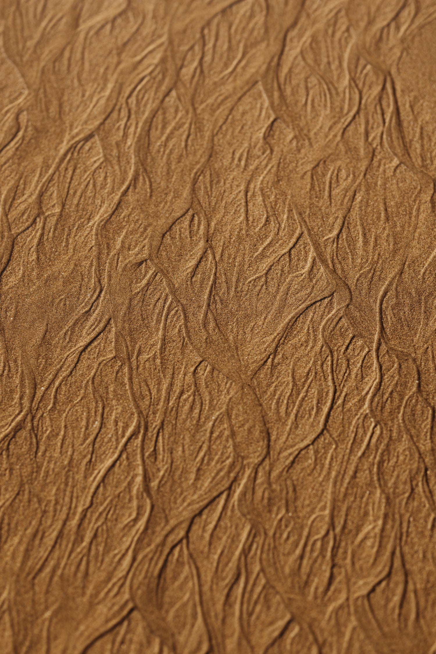 Golden Sand Patterns by Javier Pardina on GIANT ART - 5464 photography