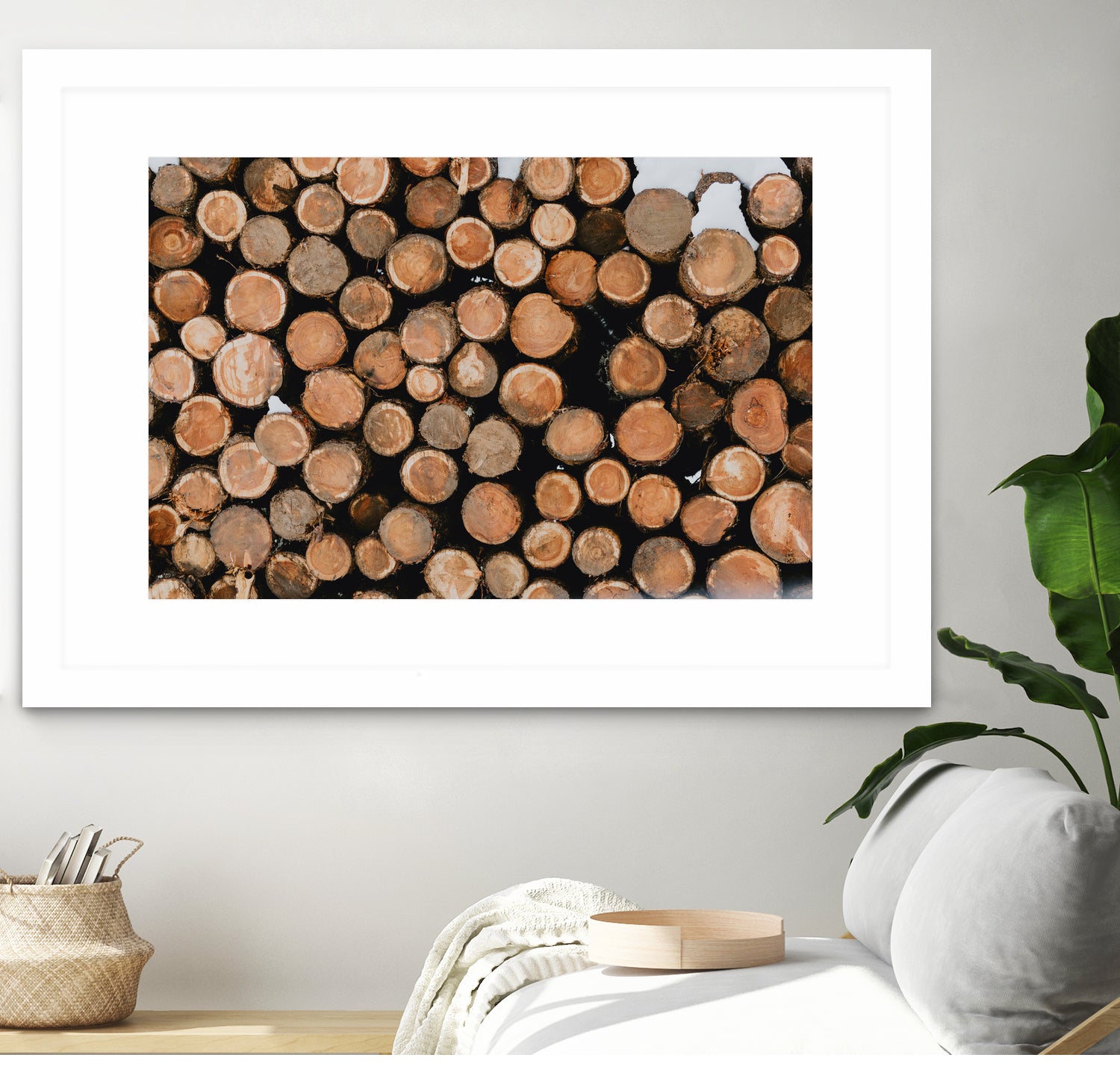 Stacked Timber Beauty by Javier Pardina on GIANT ART - 8192 photography