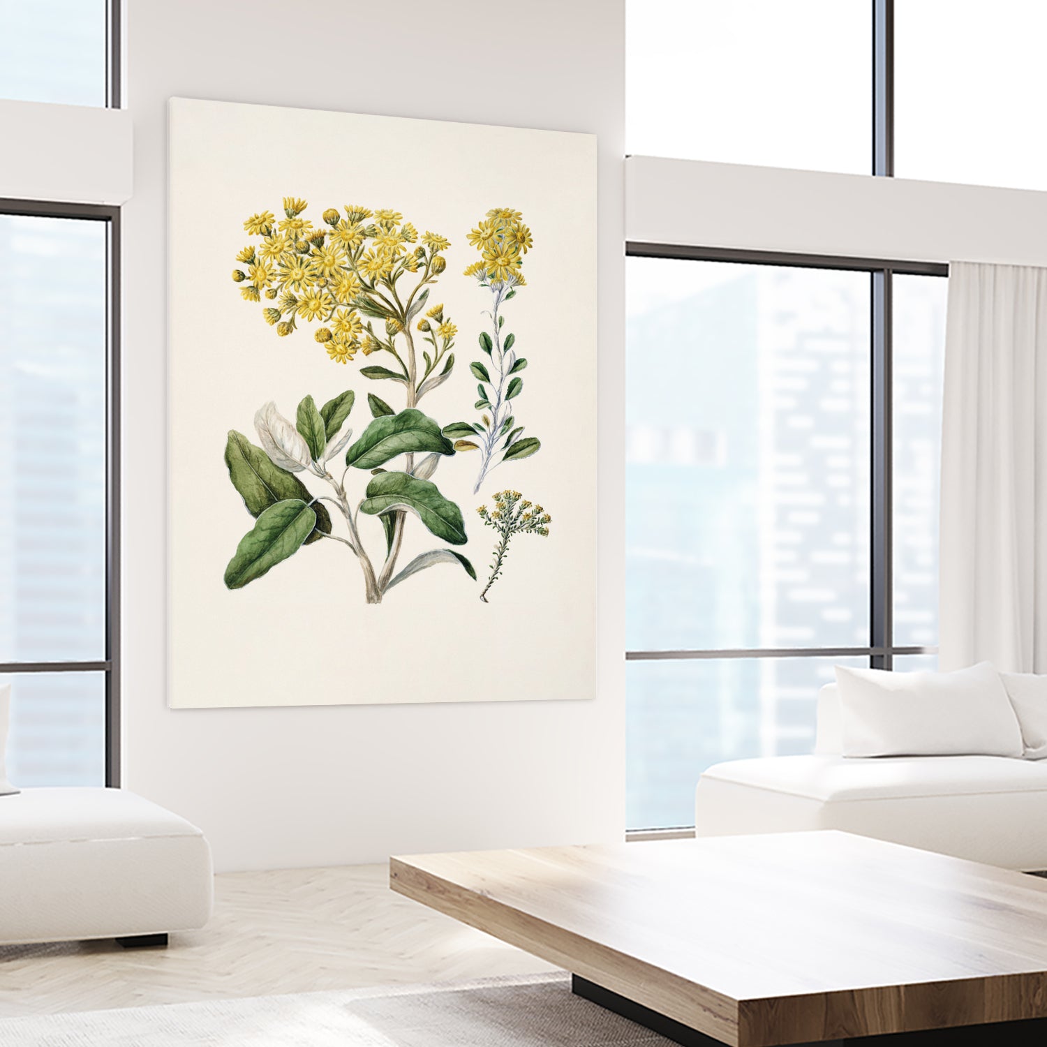 Daisy Brachyglottis Drawn By Sarah Featon (1848a1927) by Sarah Featon on GIANT ART - vintage botanical flowers and plants vintage botanical