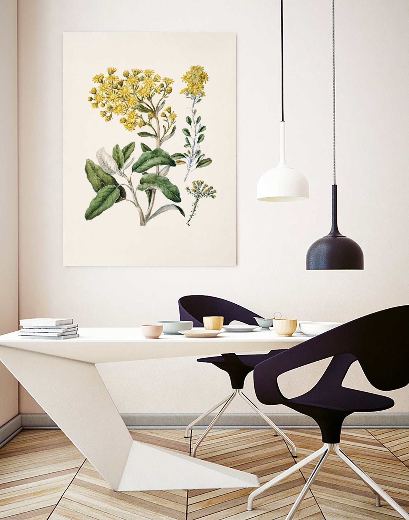 Daisy Brachyglottis Drawn By Sarah Featon (1848a1927) by Sarah Featon on GIANT ART - vintage botanical flowers and plants vintage botanical