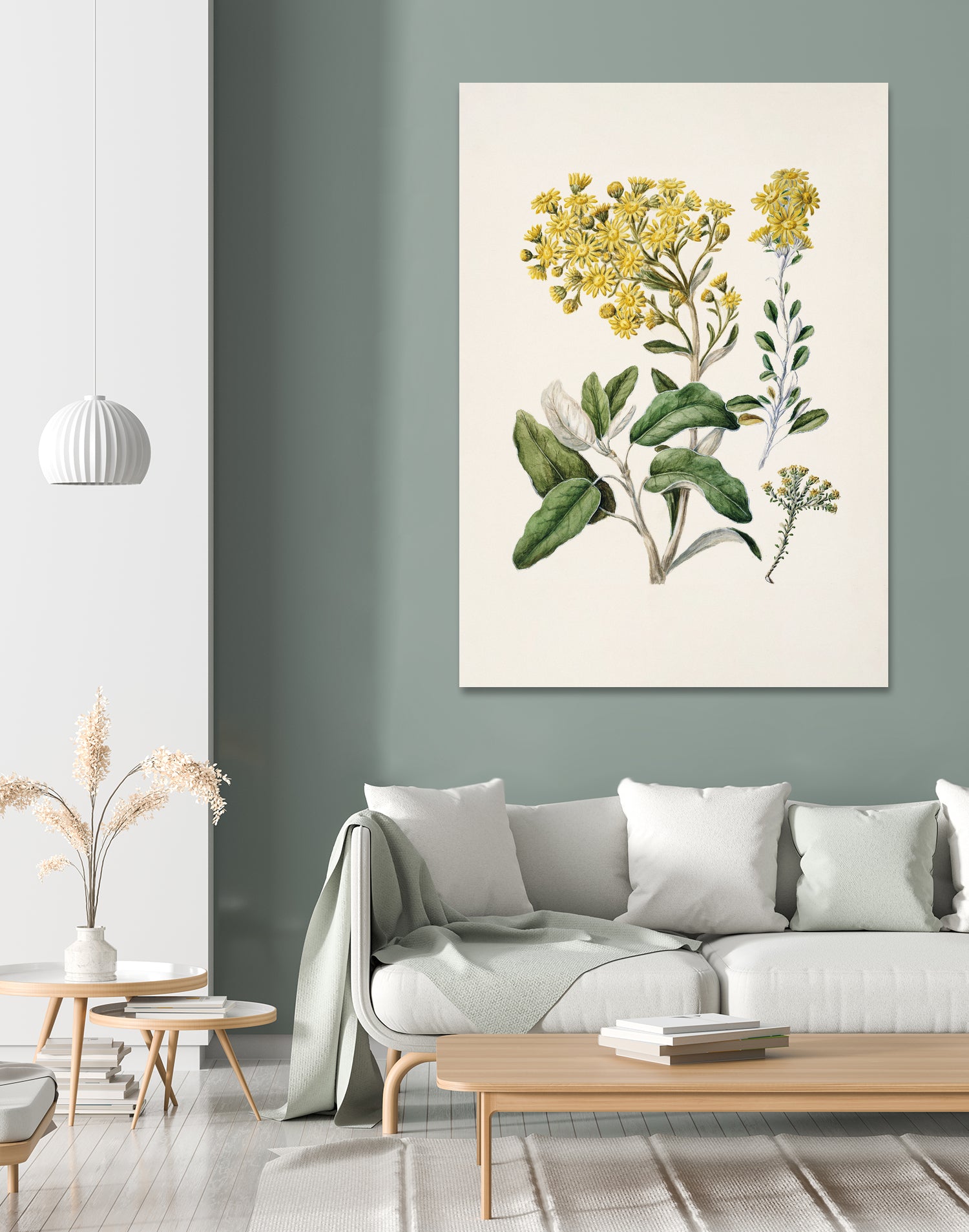 Daisy Brachyglottis Drawn By Sarah Featon (1848a1927) by Sarah Featon on GIANT ART - vintage botanical flowers and plants vintage botanical