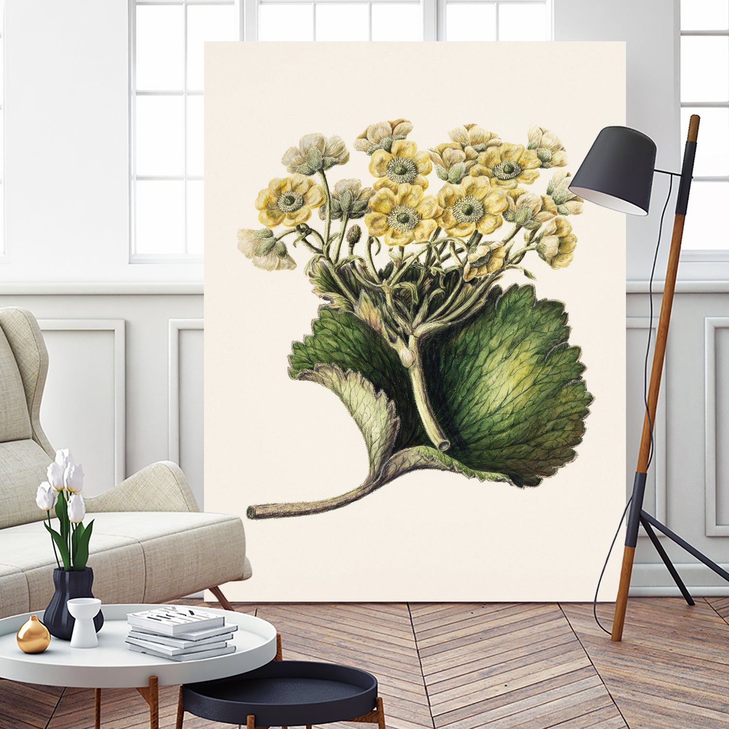 Korikor Drawn By Sarah Featon (1848a€“1927 by Sarah Featon on GIANT ART - flowers and plants vintage botanical