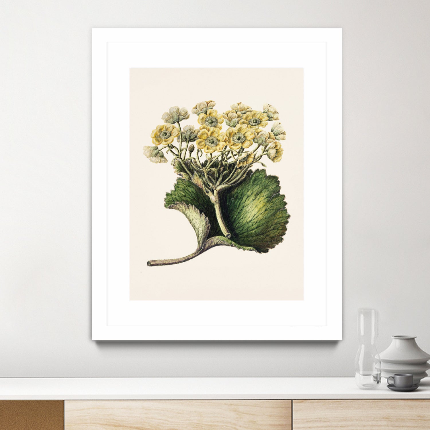 Korikor Drawn By Sarah Featon (1848a€“1927 by Sarah Featon on GIANT ART - flowers and plants vintage botanical