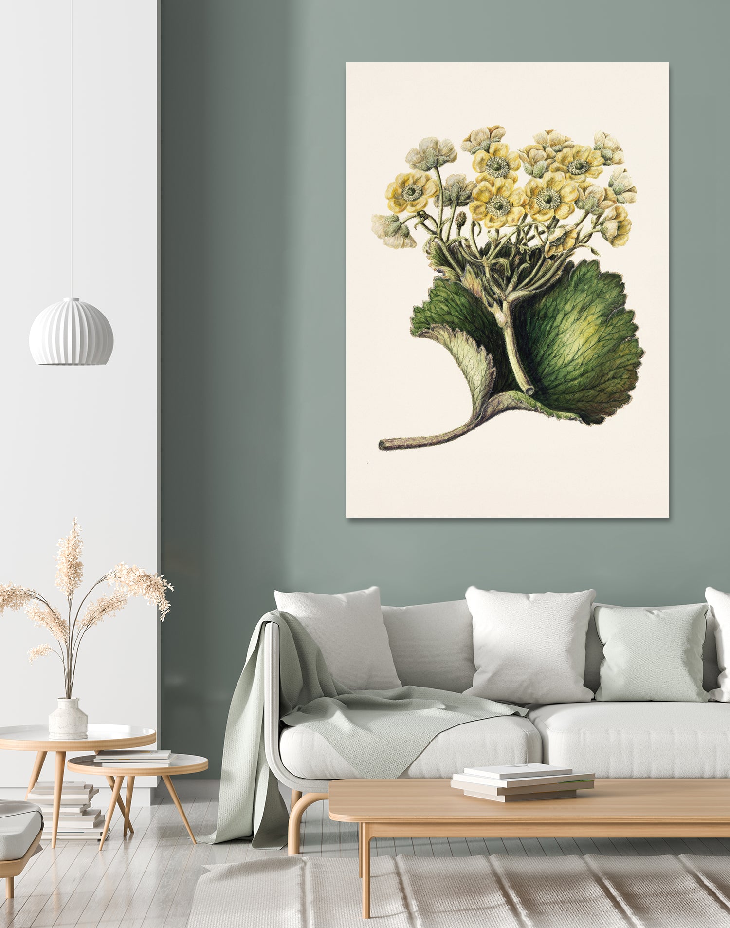 Korikor Drawn By Sarah Featon (1848a€“1927 by Sarah Featon on GIANT ART - flowers and plants vintage botanical