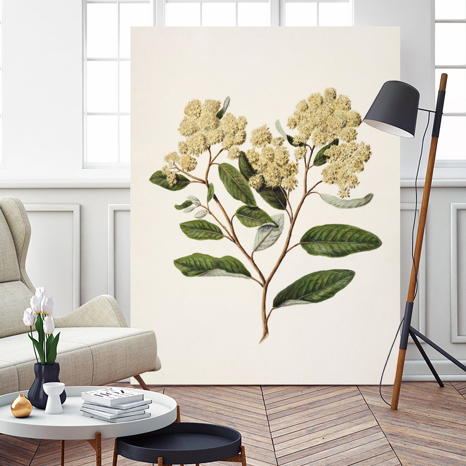 Kumarahou Drawn By Sarah Featon (1848a€“1927 by Sarah Featon on GIANT ART - flowers and plants vintage botanical