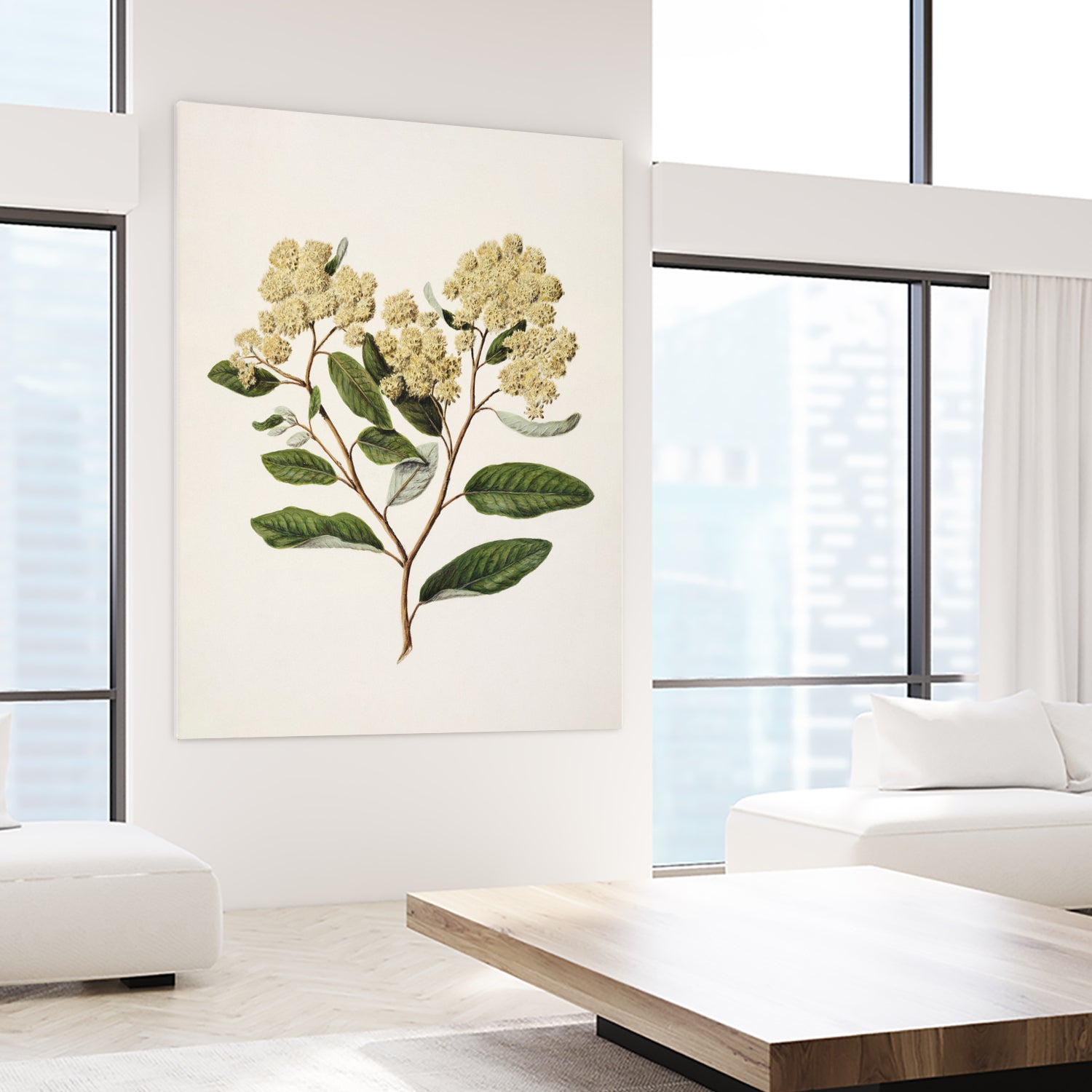 Kumarahou Drawn By Sarah Featon (1848a€“1927 by Sarah Featon on GIANT ART - flowers and plants vintage botanical