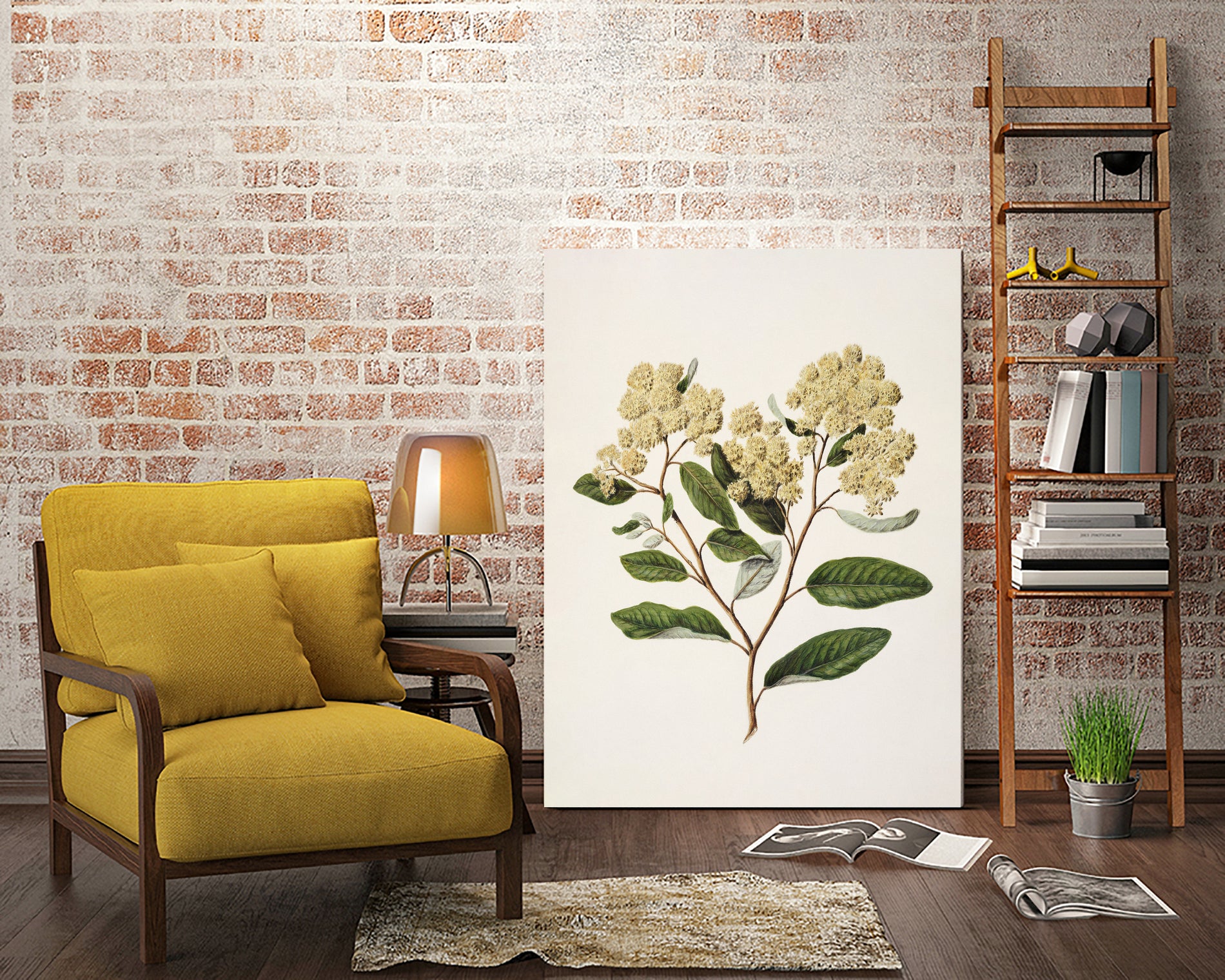 Kumarahou Drawn By Sarah Featon (1848a€“1927 by Sarah Featon on GIANT ART - flowers and plants vintage botanical