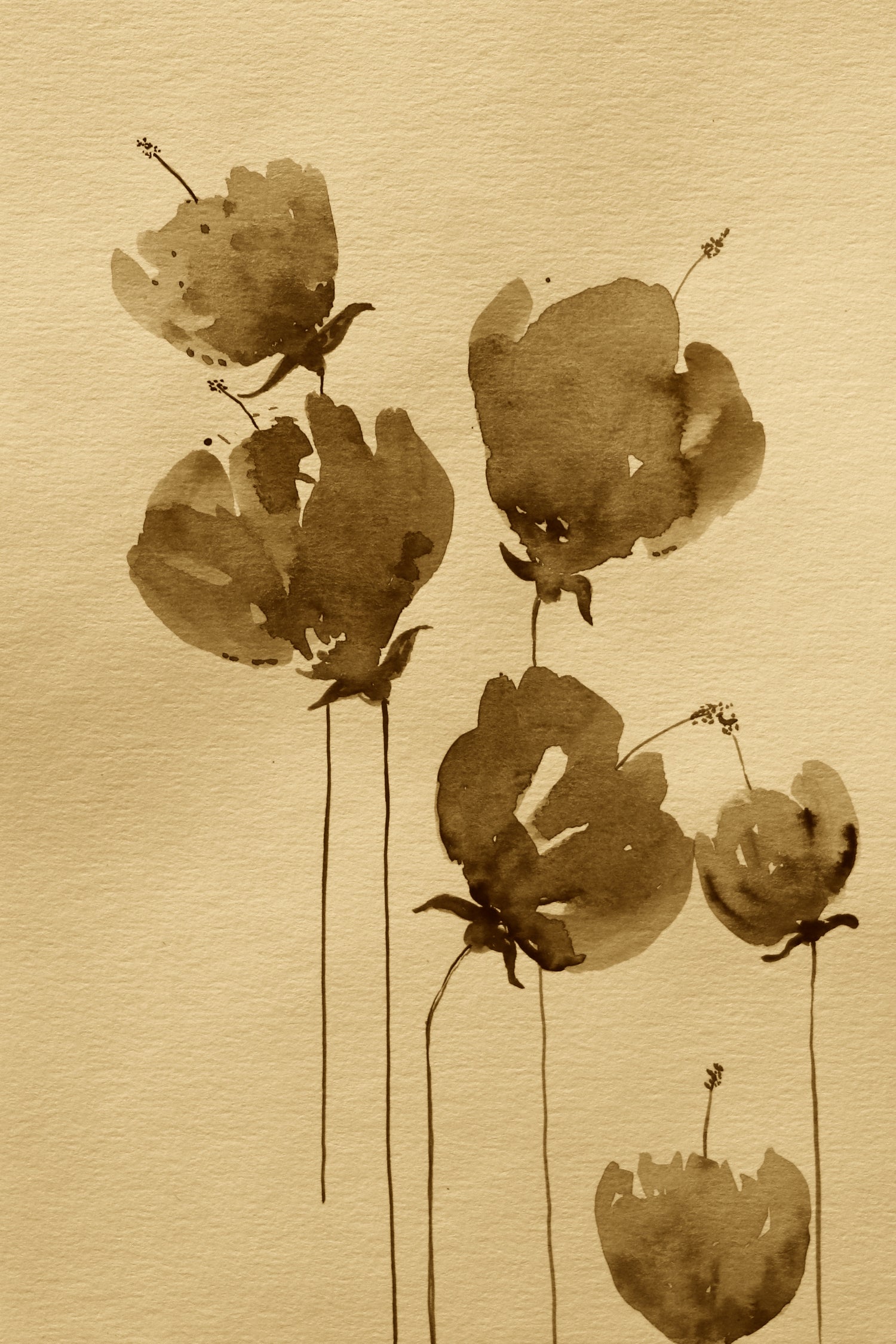 Poppies In Muted Sepia Tones by Santhosh ch on GIANT ART - 11825 illustration