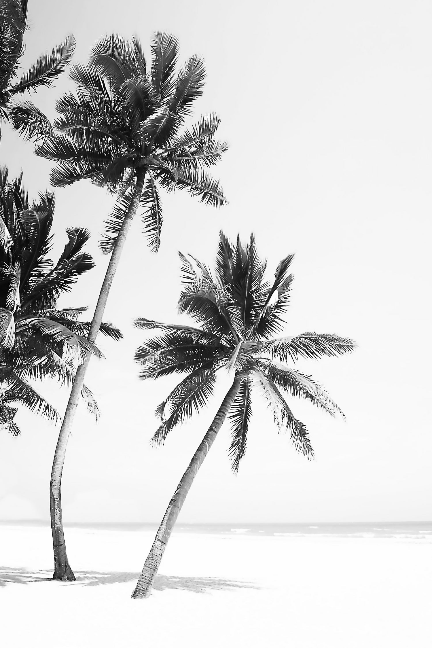 Island by Kathrin Pienaar on GIANT ART - framed canvas