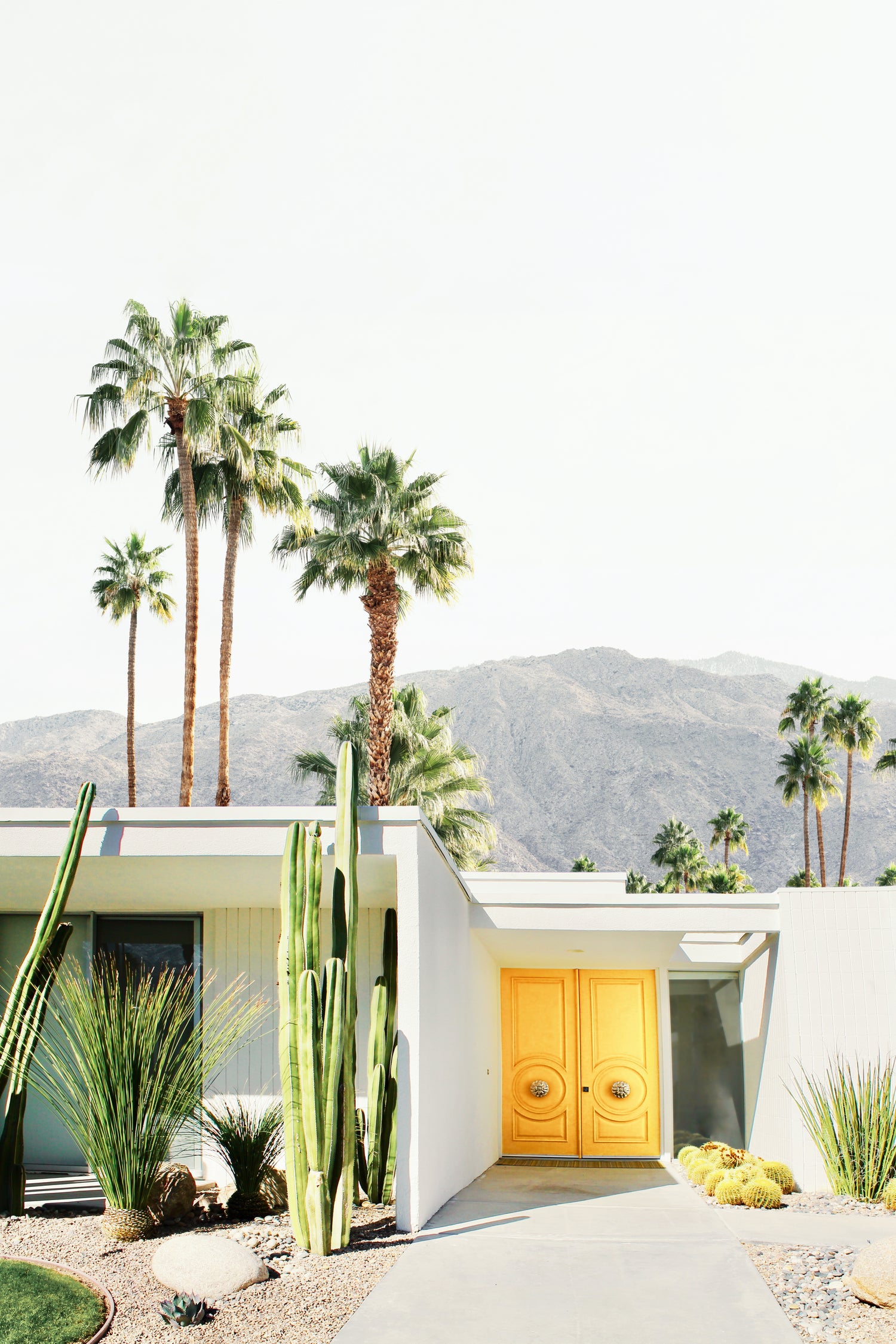 Palm Springs 2 by Kathrin Pienaar on GIANT ART - framed canvas