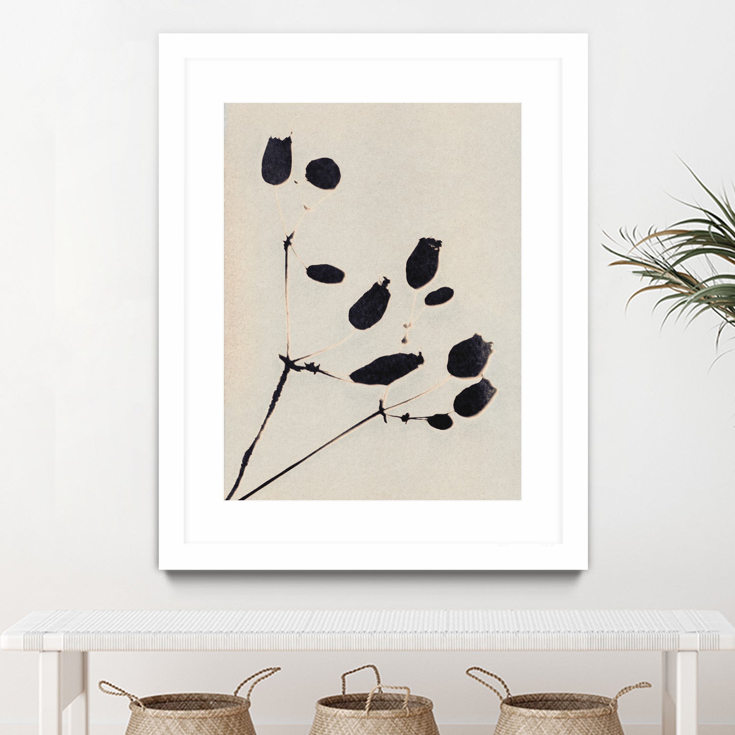 Wildflower In Bloom by Alisa Galitsyna on GIANT ART - monochrome monochrome