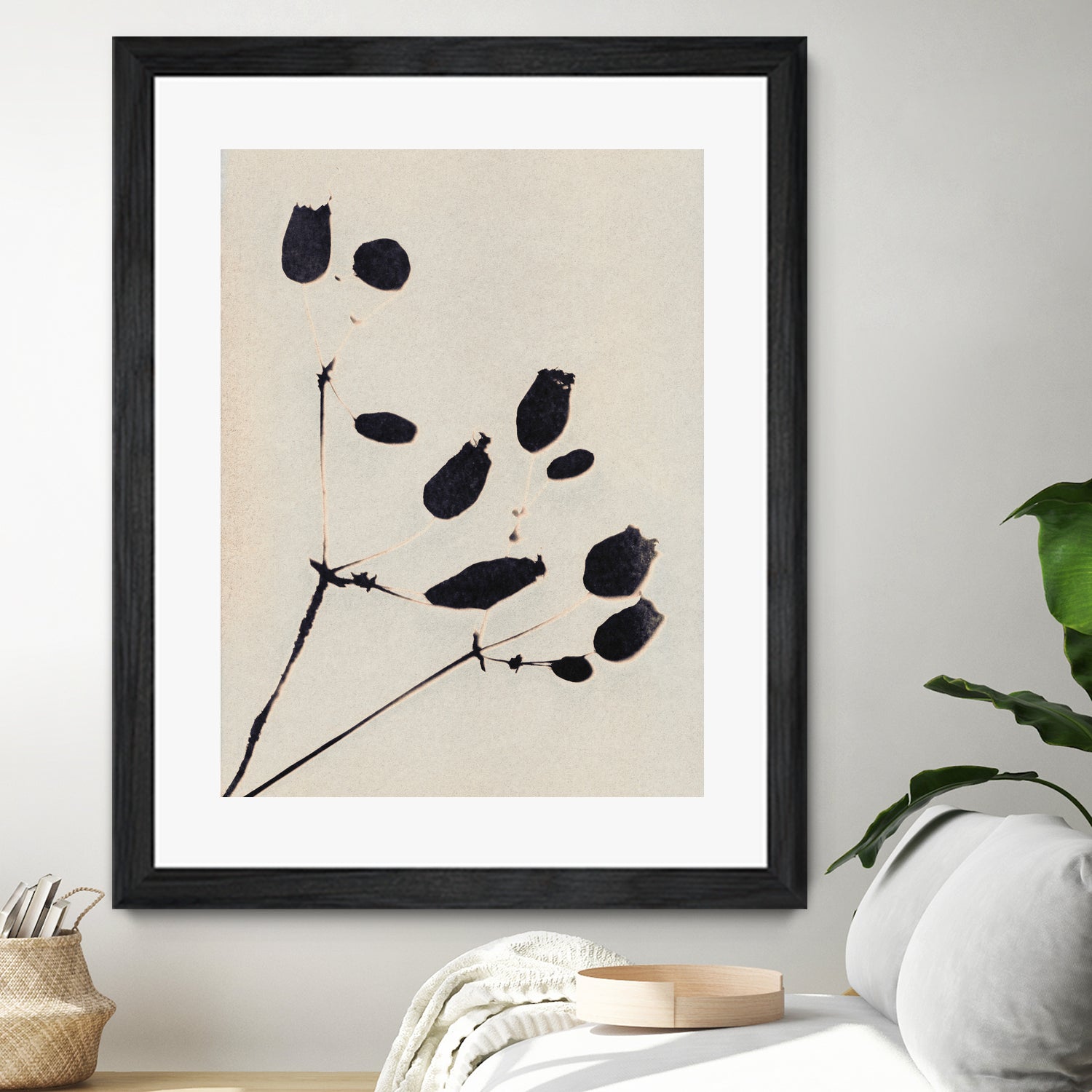 Wildflower In Bloom by Alisa Galitsyna on GIANT ART - monochrome monochrome