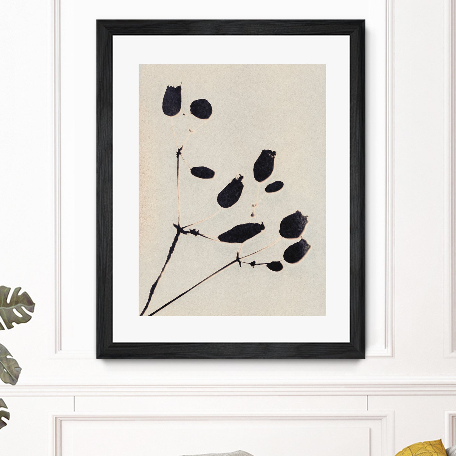 Wildflower In Bloom by Alisa Galitsyna on GIANT ART - monochrome monochrome