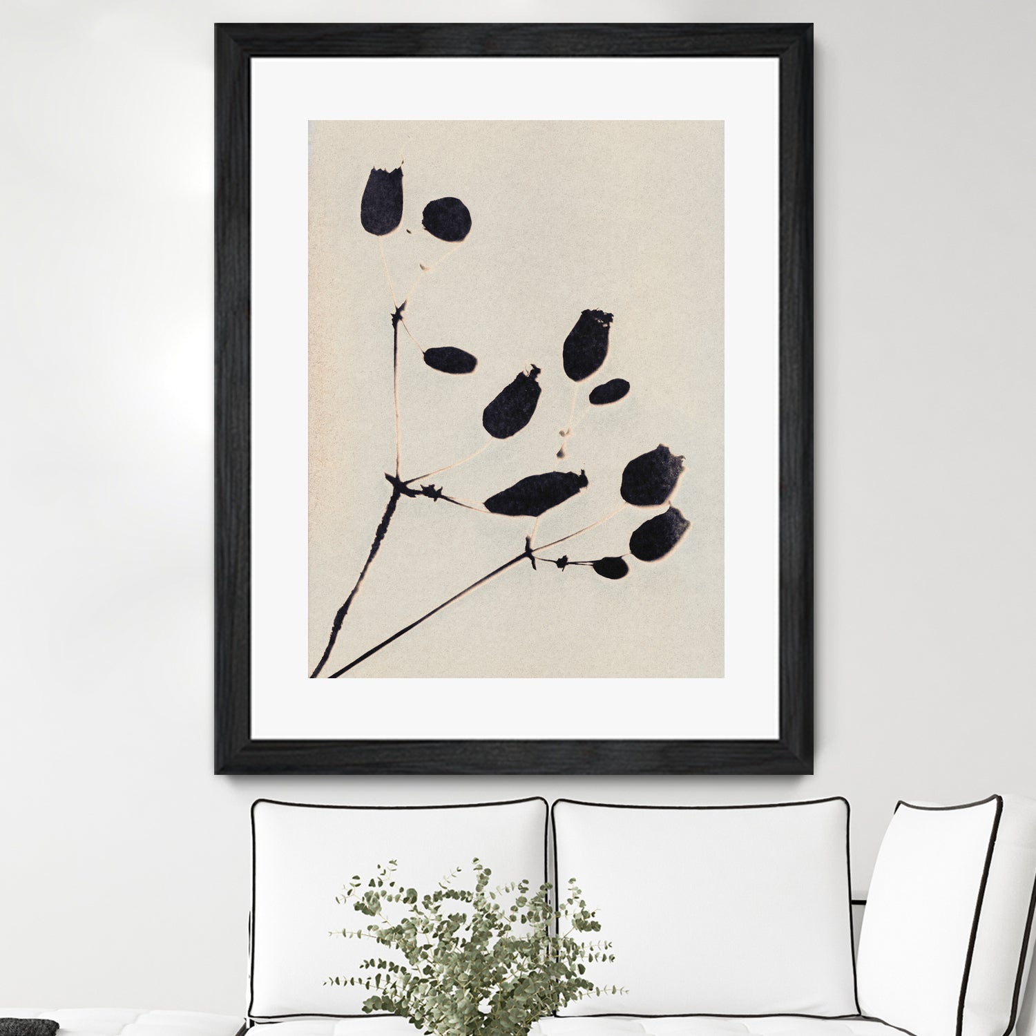 Wildflower In Bloom by Alisa Galitsyna on GIANT ART - monochrome monochrome