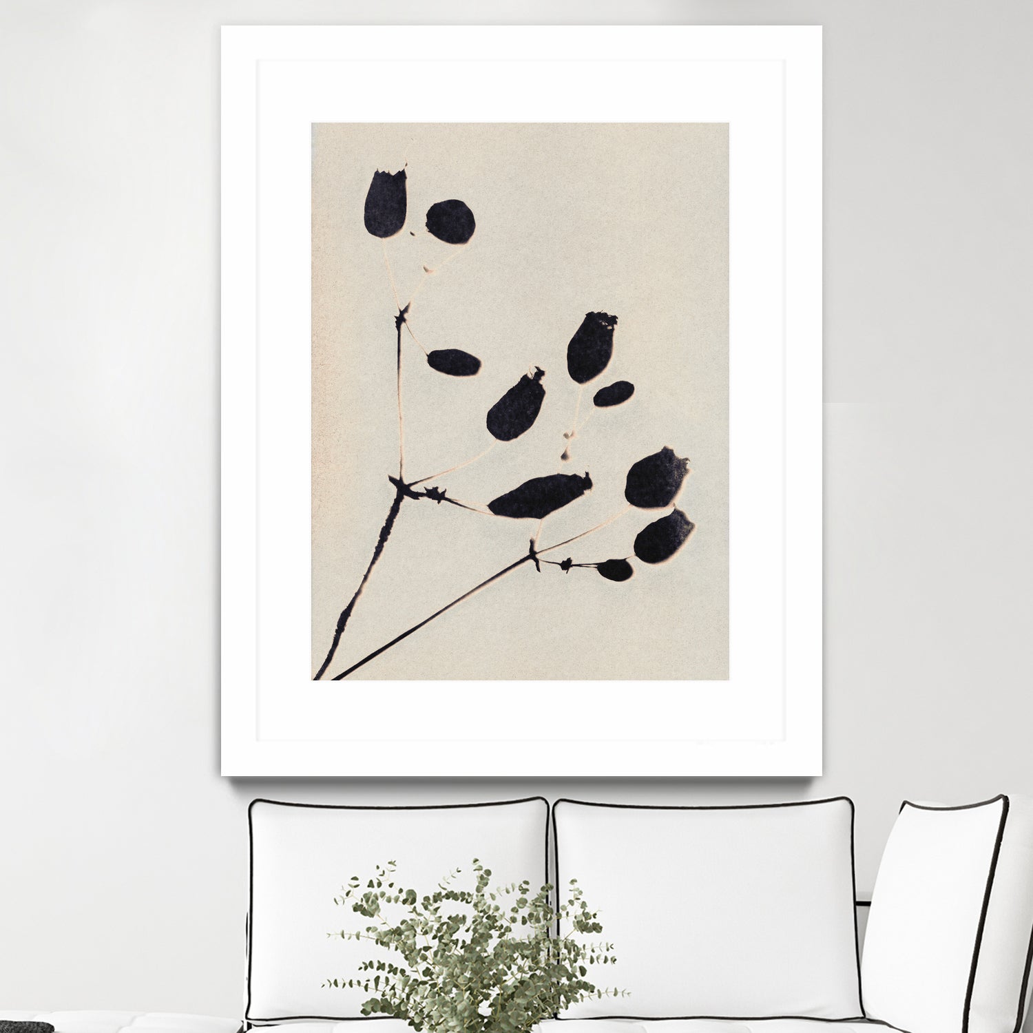Wildflower In Bloom by Alisa Galitsyna on GIANT ART - monochrome monochrome
