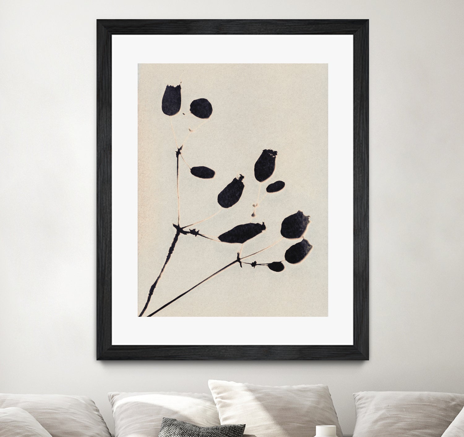 Wildflower In Bloom by Alisa Galitsyna on GIANT ART - monochrome monochrome