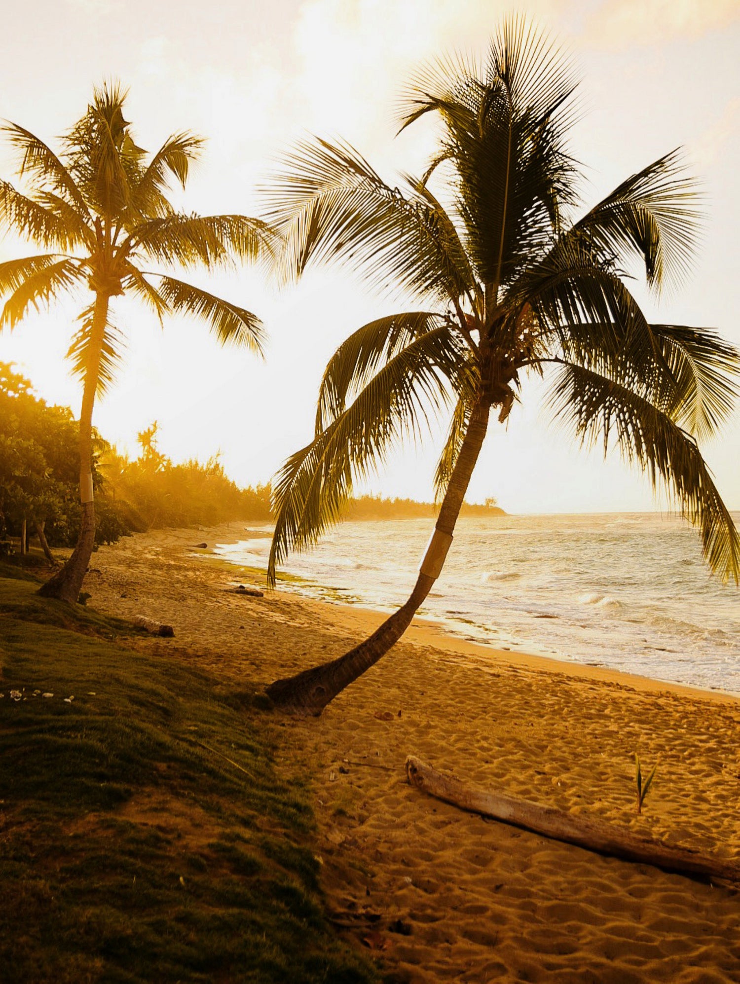 Postcard from Isabela by Del Mundo Imagery on GIANT ART - beach photography beach