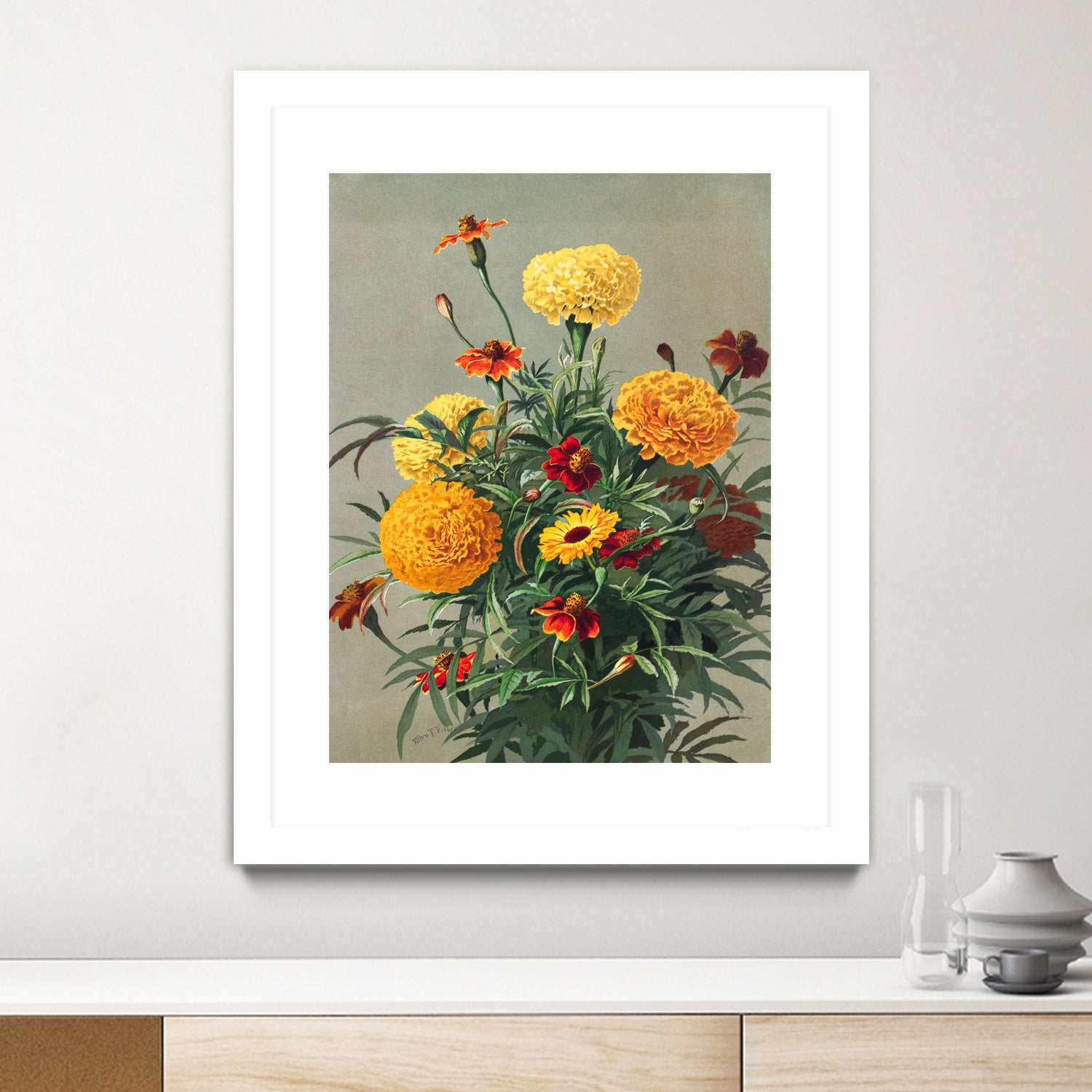 Marigolds by Ellen Thayer Fisher on GIANT ART - illustration ellen thayer fisher