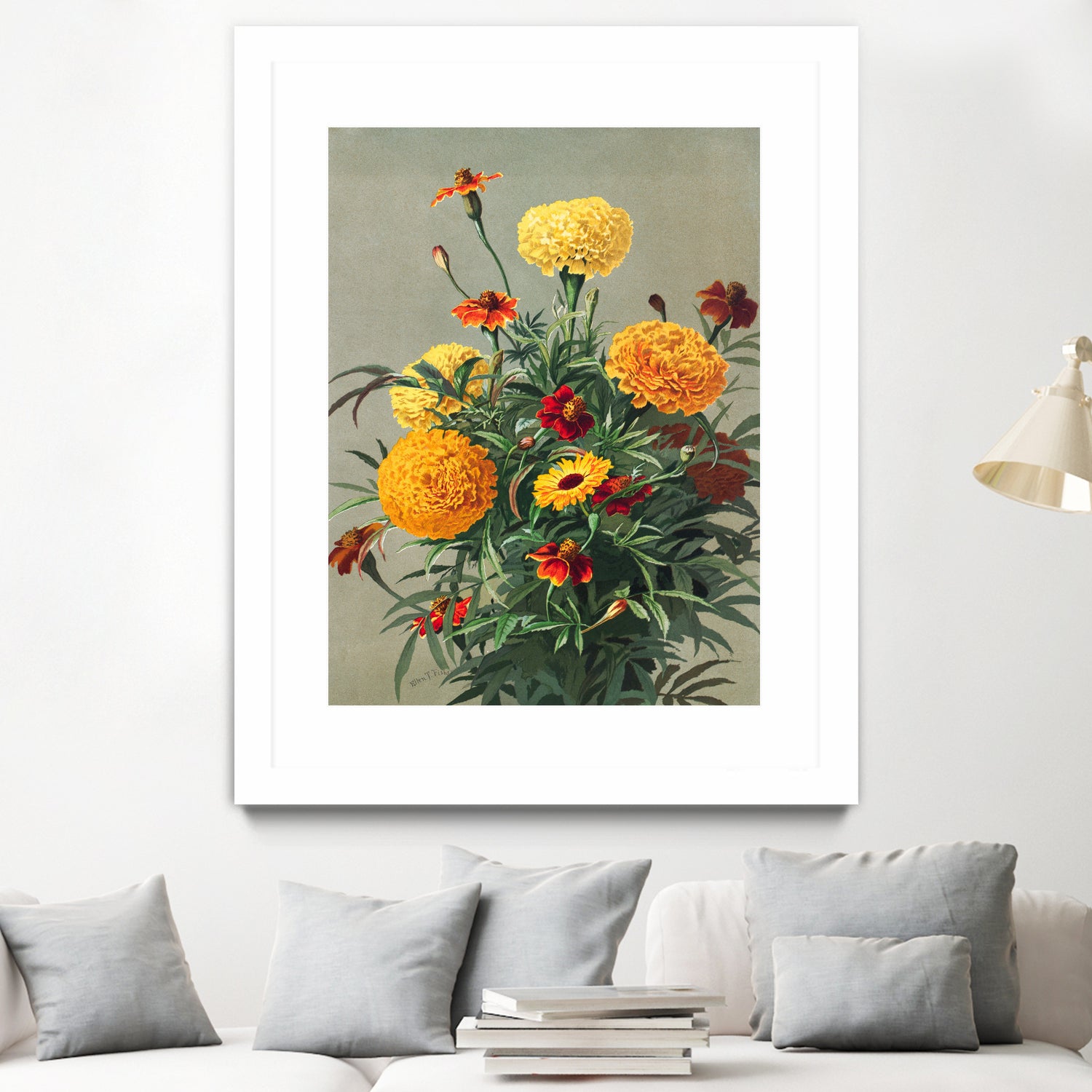 Marigolds by Ellen Thayer Fisher on GIANT ART - illustration ellen thayer fisher