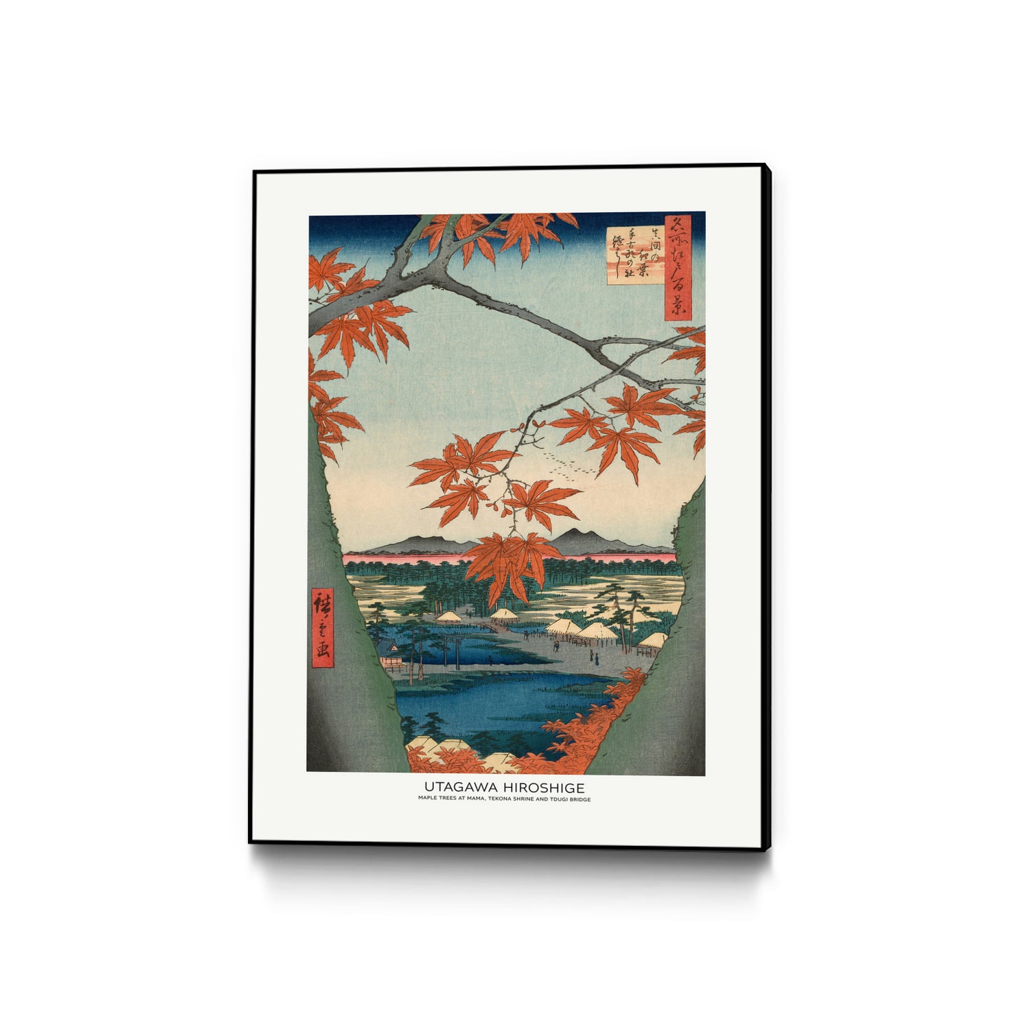 PUUID-PX3462810_CFB2432