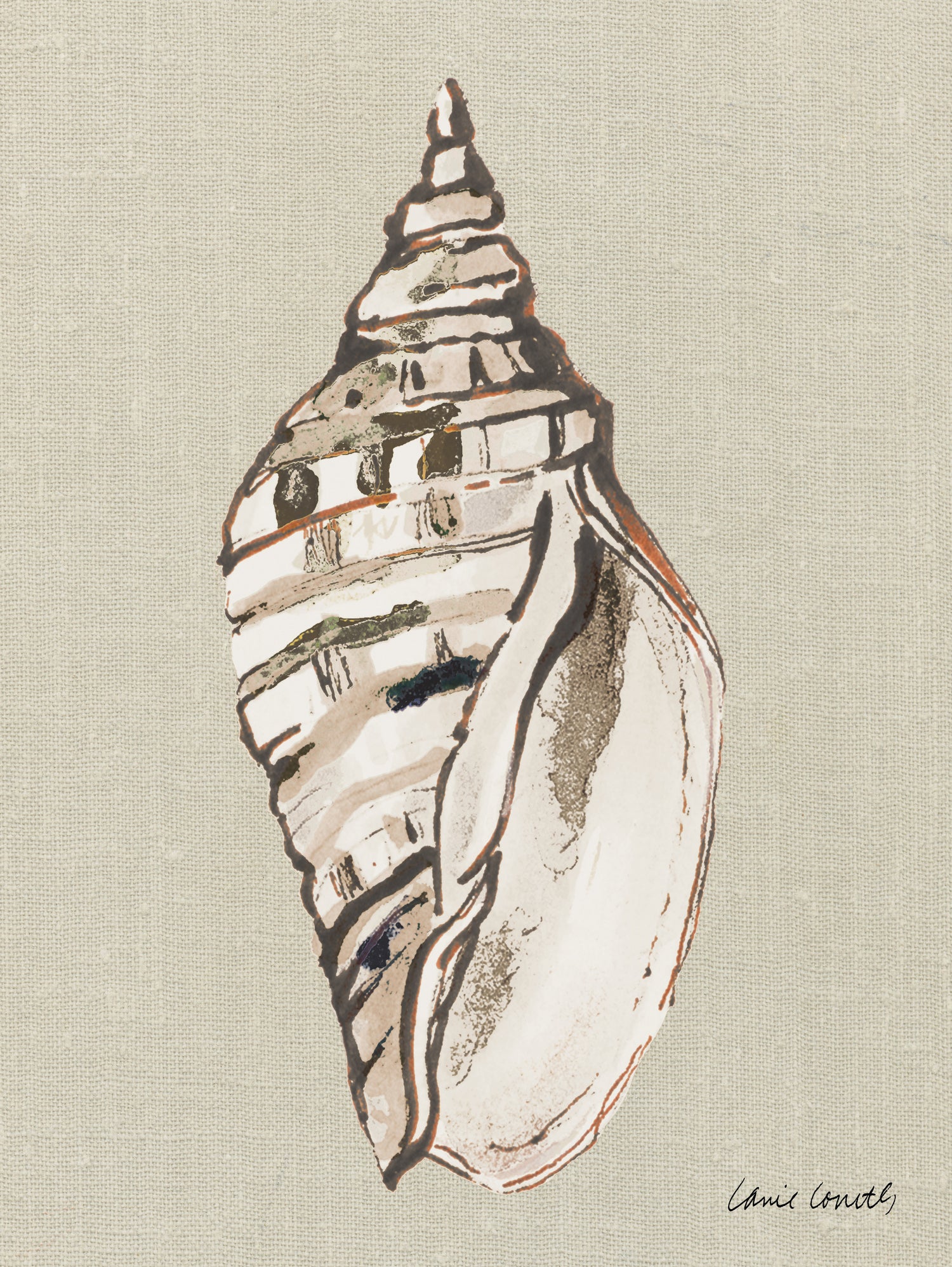 Shell on Burlap II by Lanie Loreth on GIANT ART - coastal shell