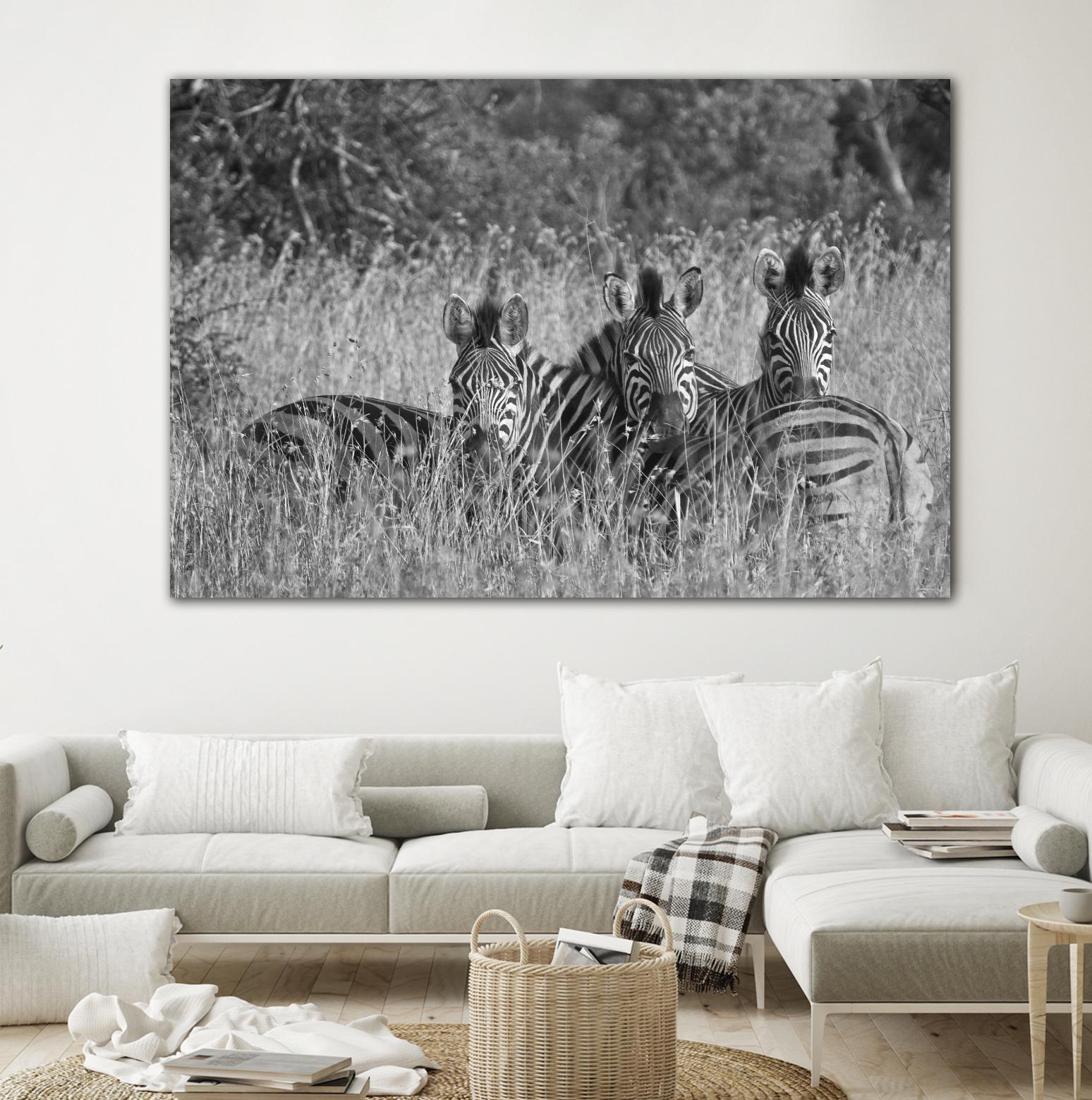 Safety in numbers by Nick Jackson on GIANT ART - white animals