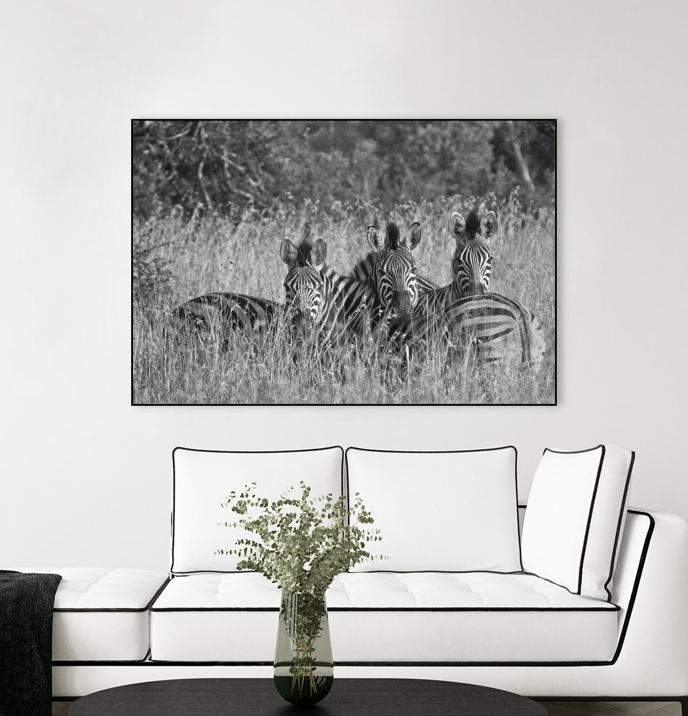 Safety in numbers by Nick Jackson on GIANT ART - white animals