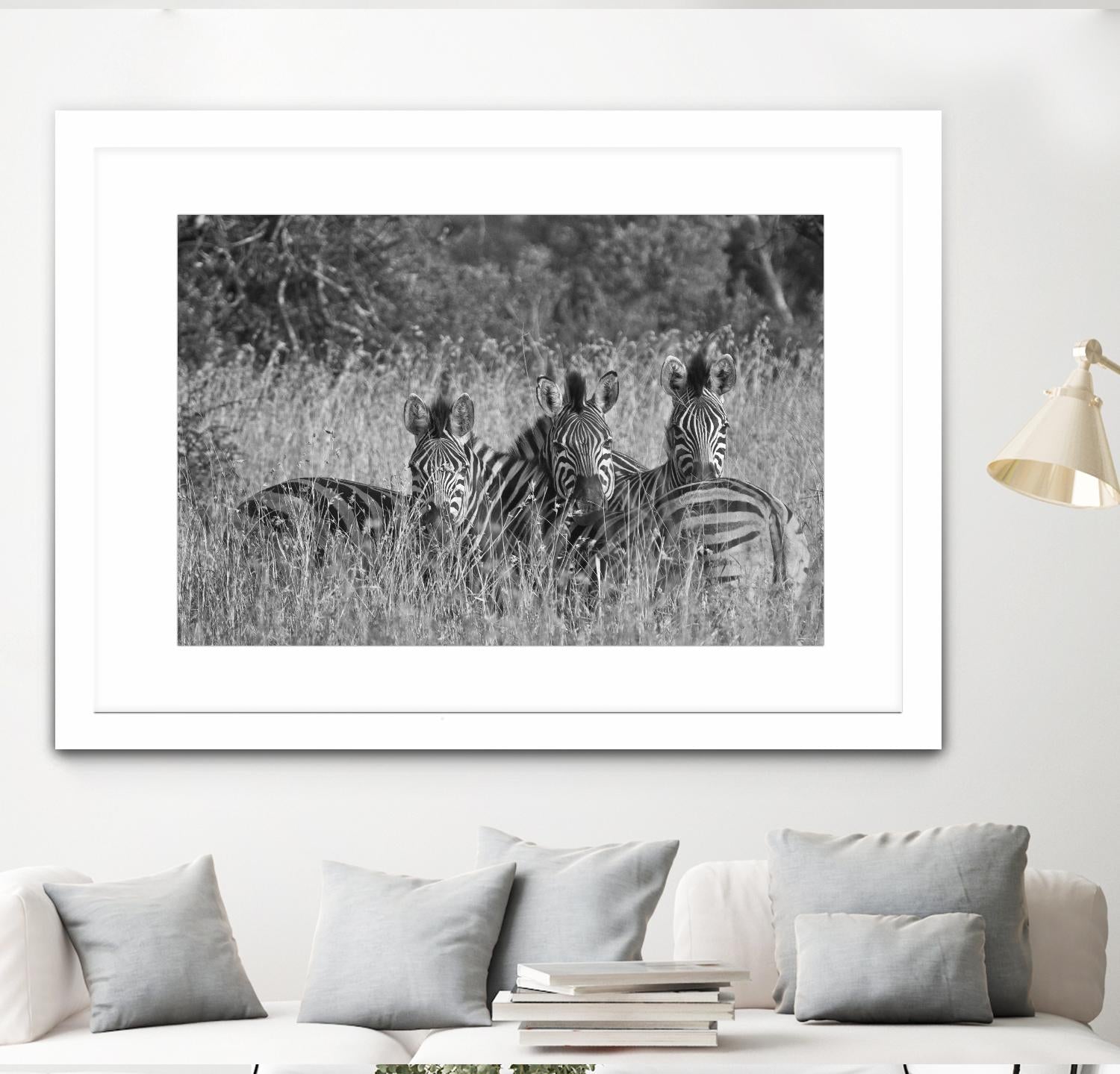 Safety in numbers by Nick Jackson on GIANT ART - white animals