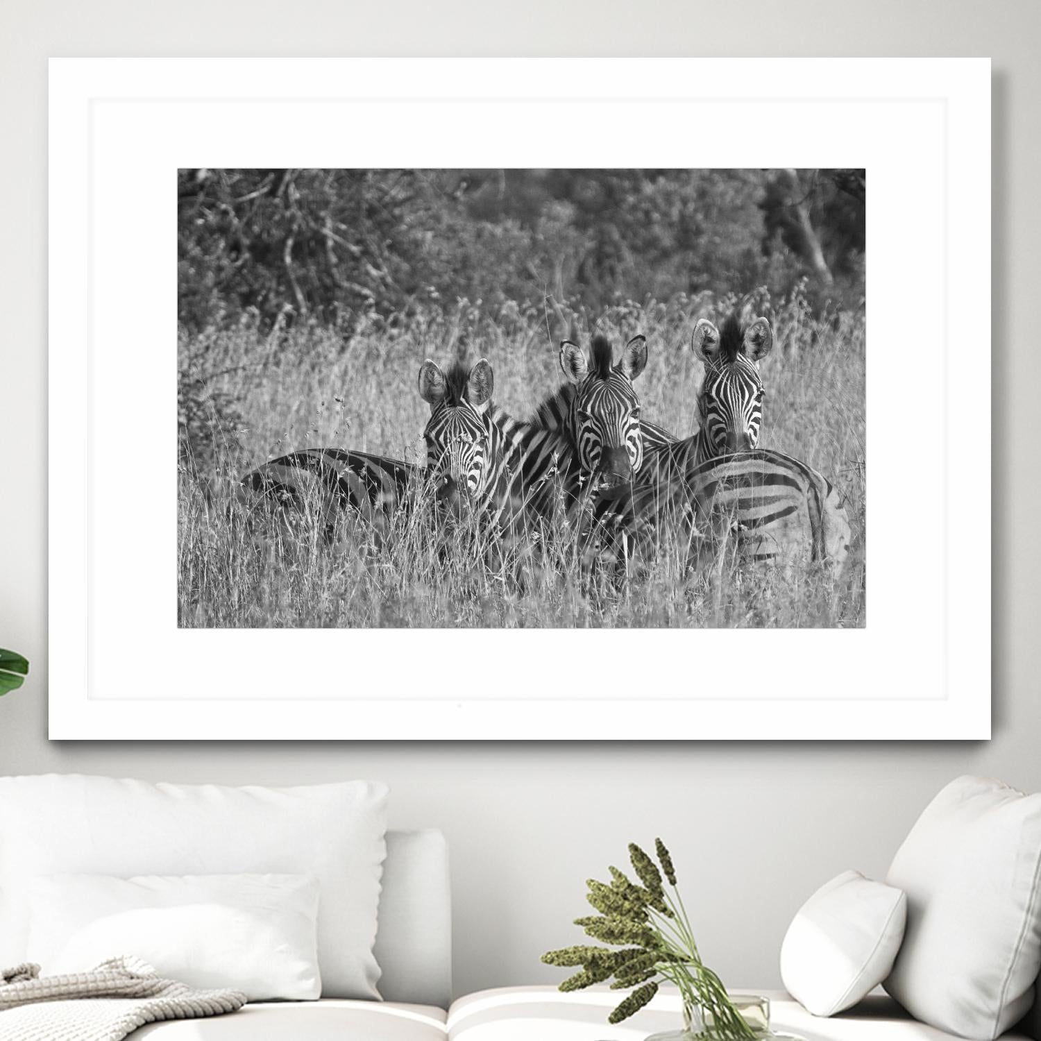 Safety in numbers by Nick Jackson on GIANT ART - white animals