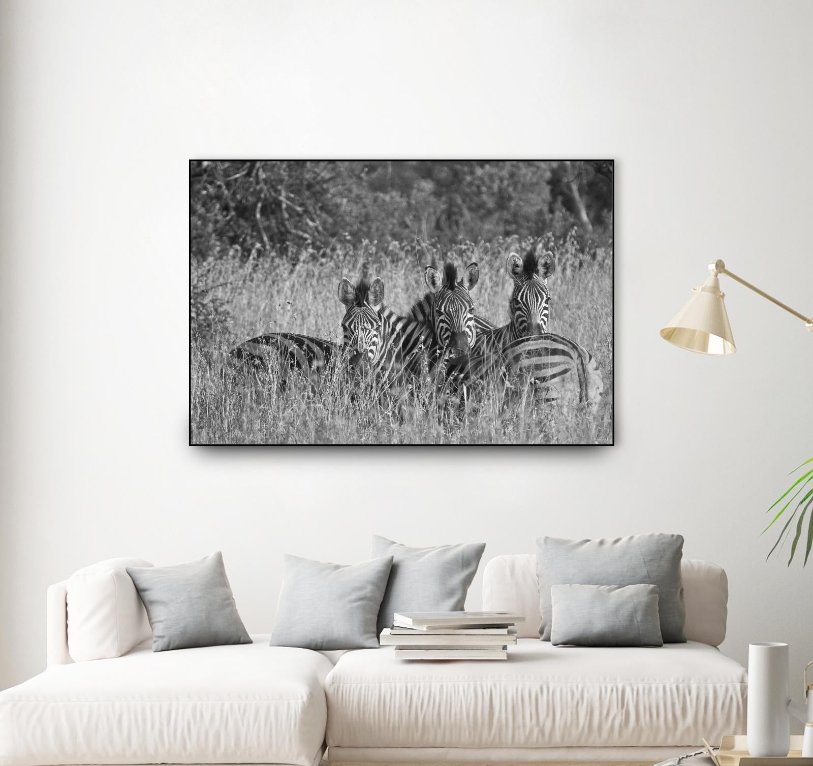 Safety in numbers by Nick Jackson on GIANT ART - white animals